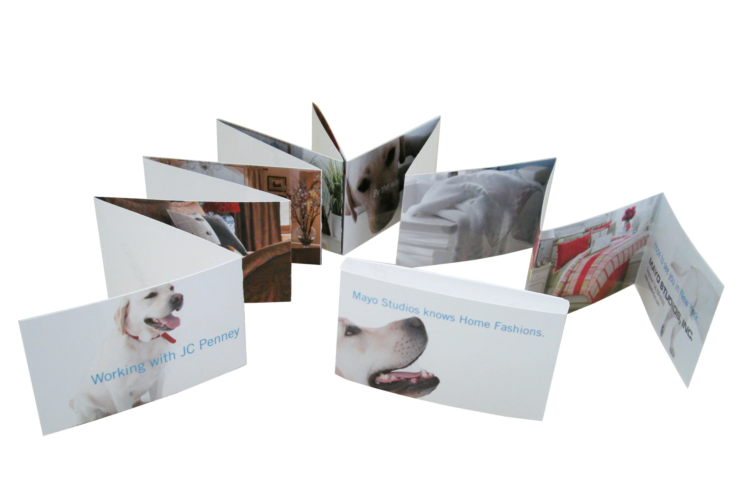 JC Penny: Promotional Leporello