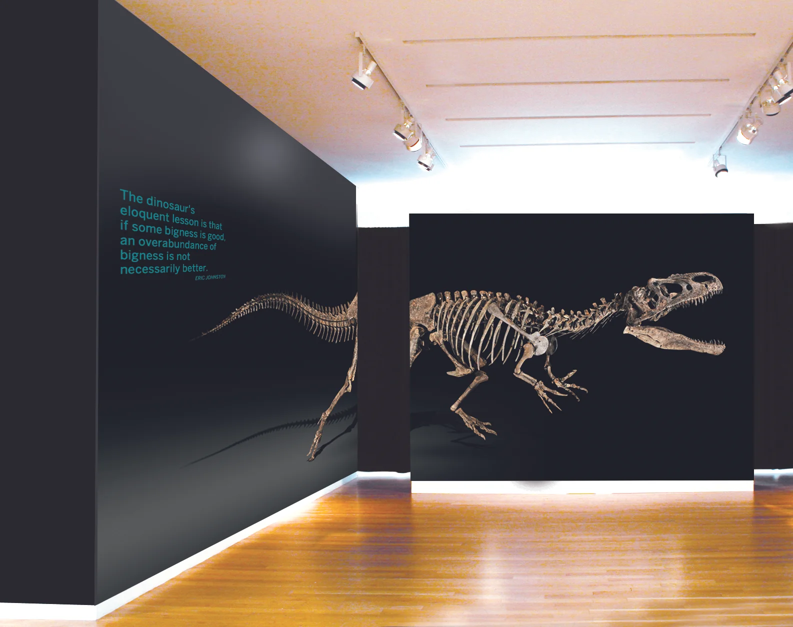 Sotheby's New York: Gallery Exhibition Wall design