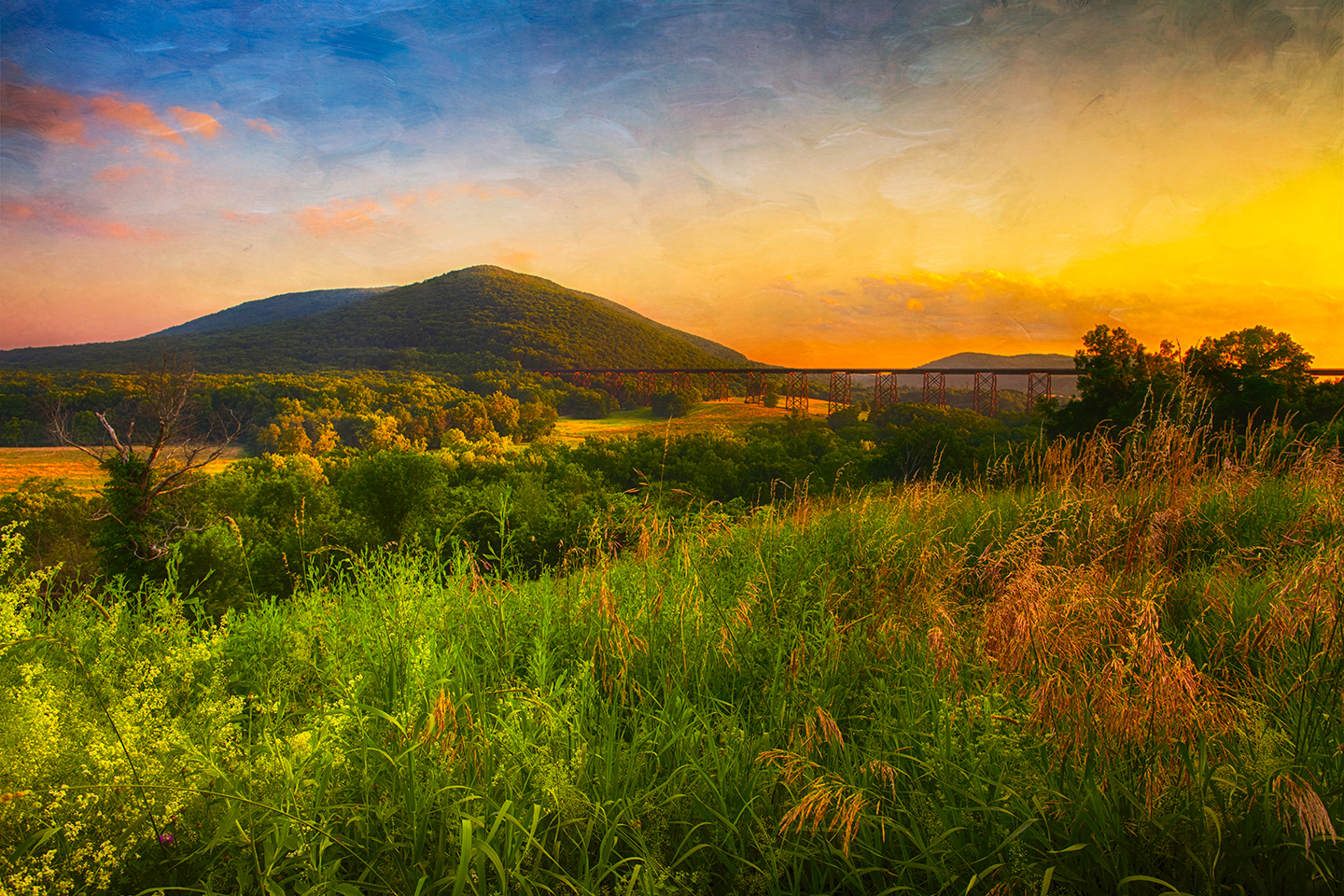 19_print_IMG_9296_HDR-Edit-Edit-2.jpg