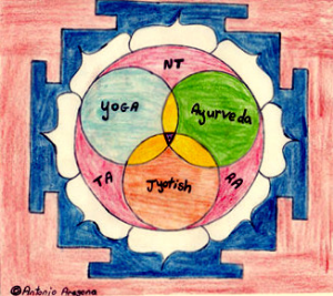 My_Logo_e.jpg