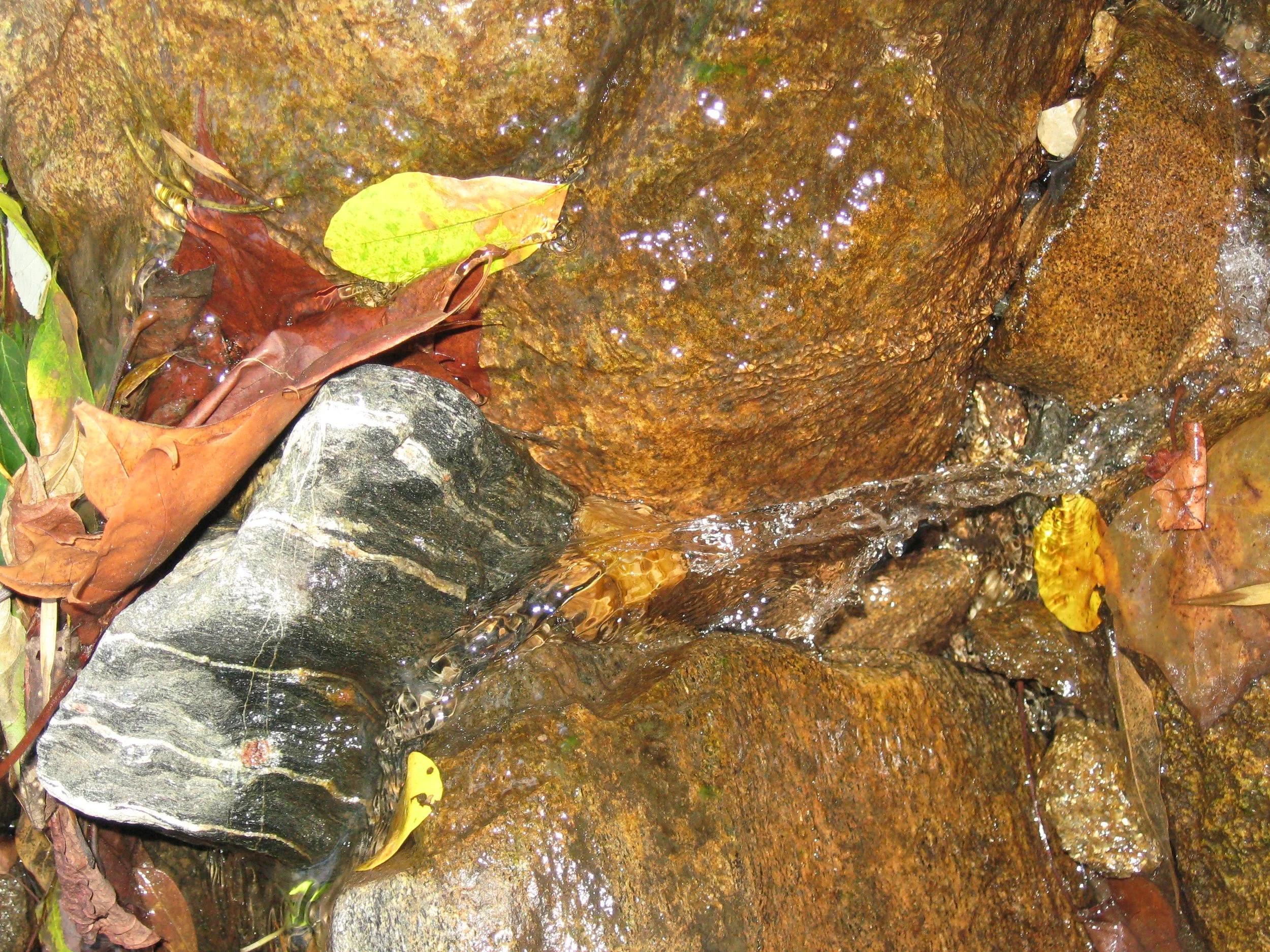 IMG_1648 (2019_09_17 22_20_58 UTC).JPG