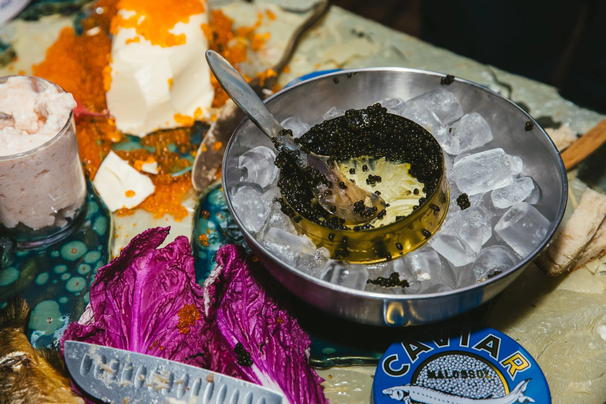 Wolfhouse_20231119_0998 (3).jpg