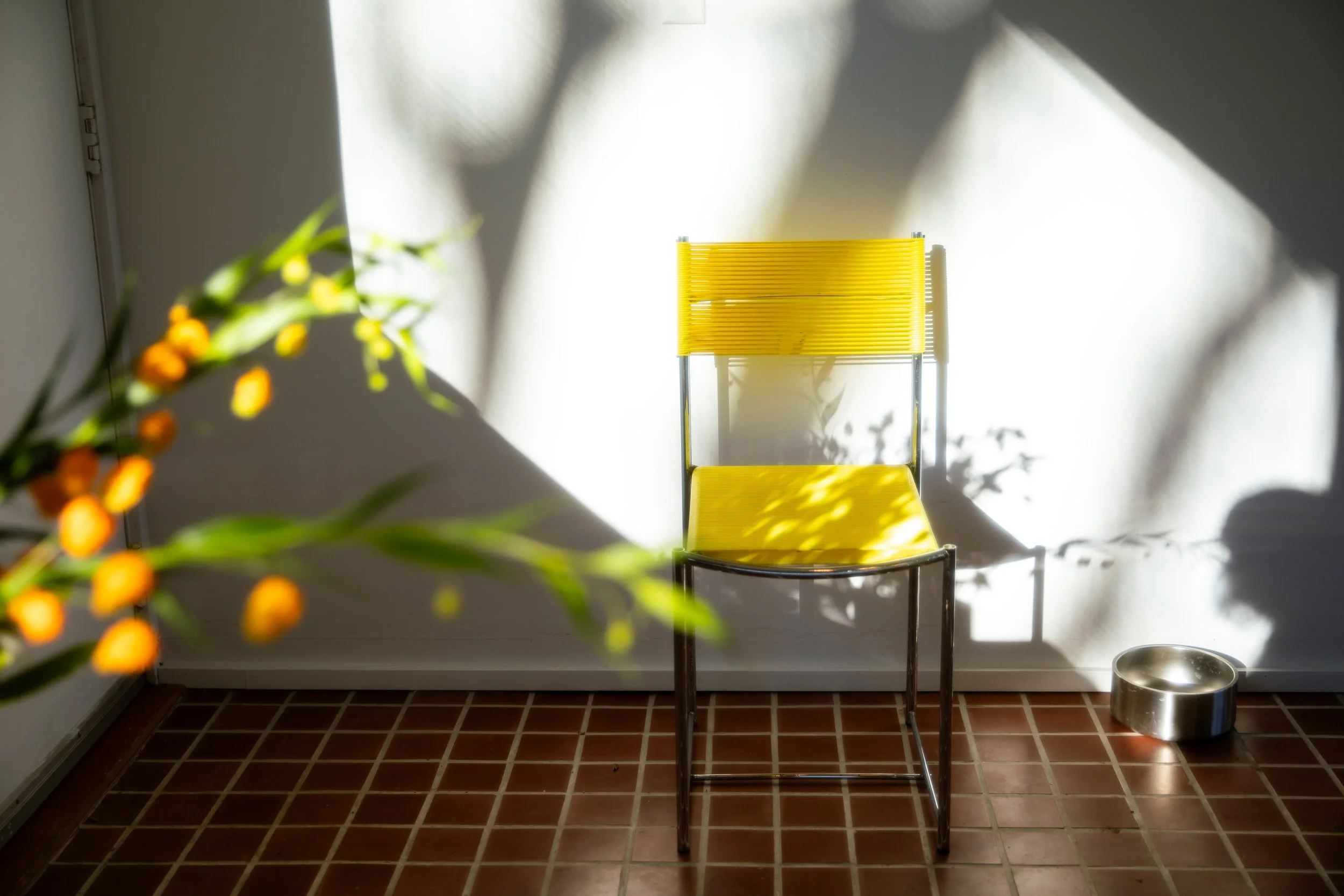 Wolfhouse_20231119_0183 (1).jpg