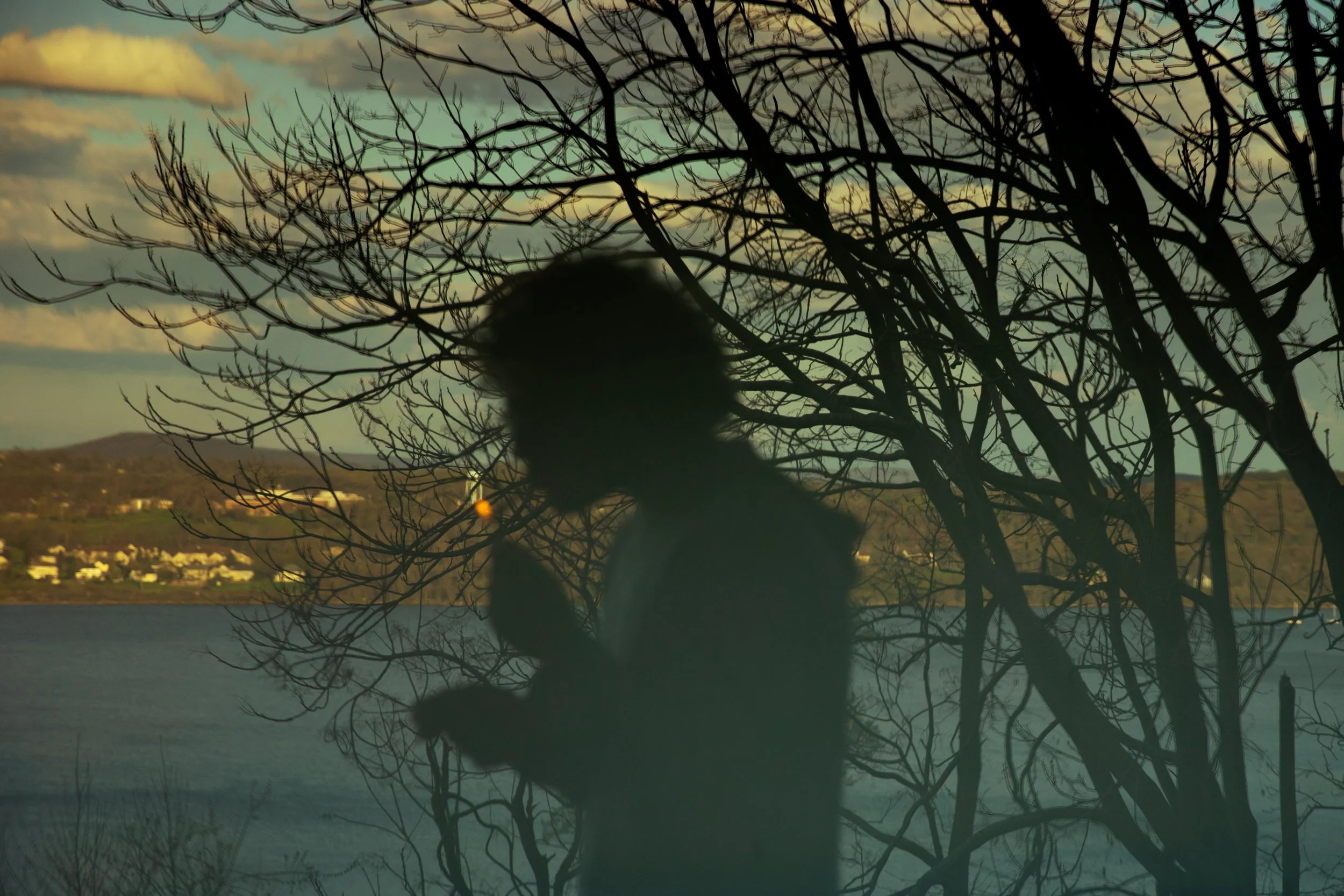 20240220_Wolfhouse_1252 (1).jpg