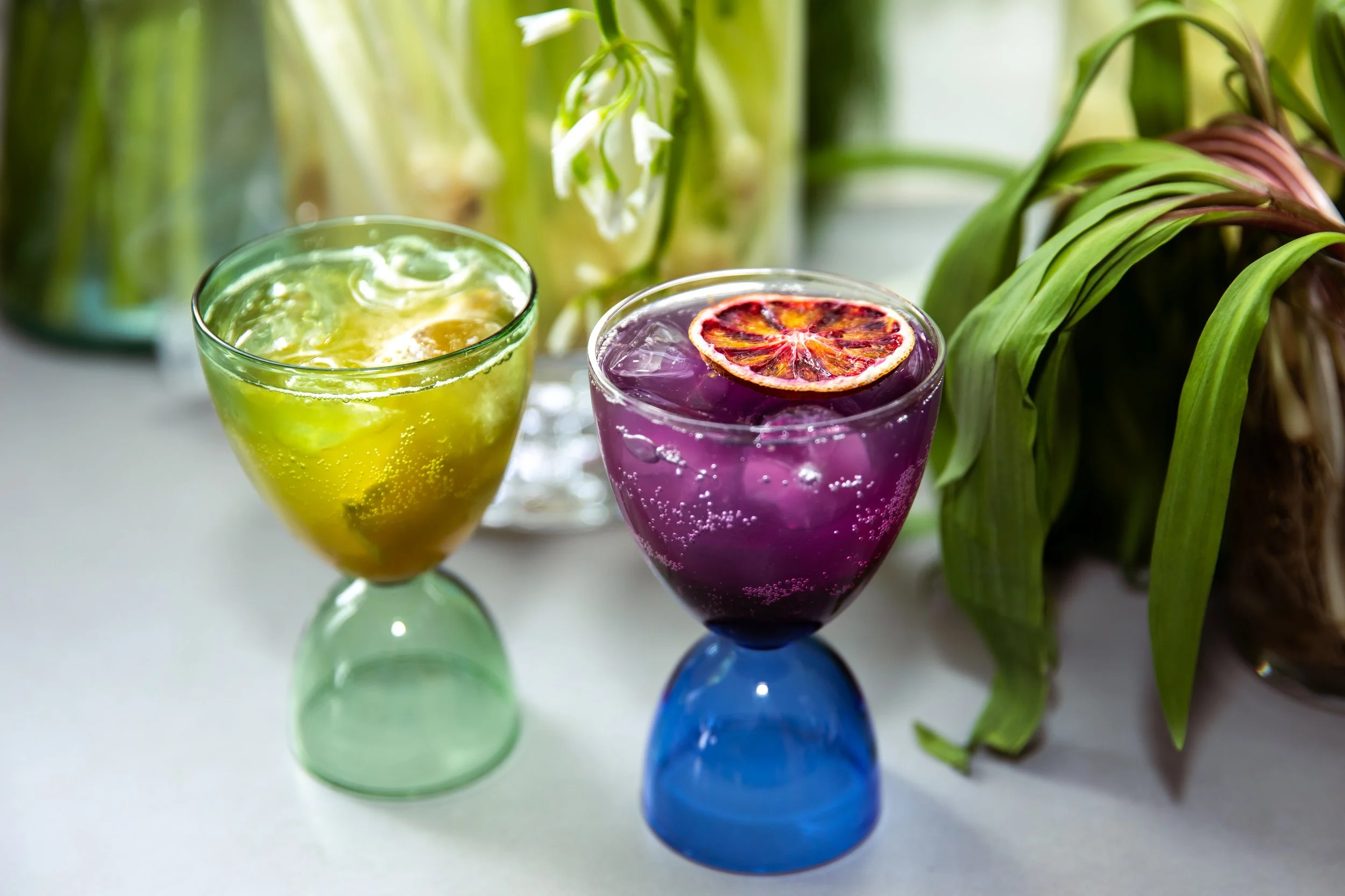 20240220_Wolfhouse_0745 (2).jpg