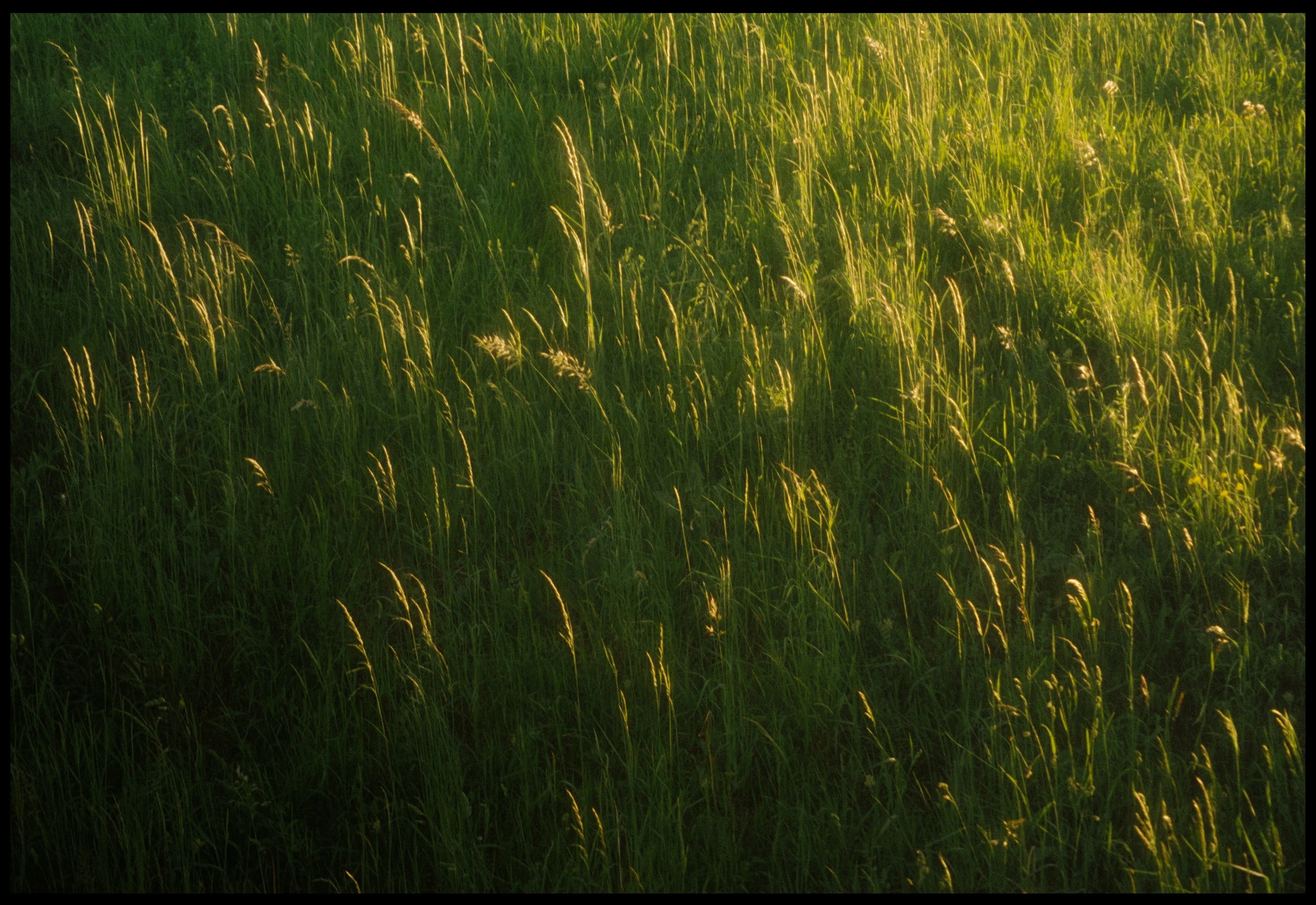 Poland-@shotsbyalliej-12005B.jpg