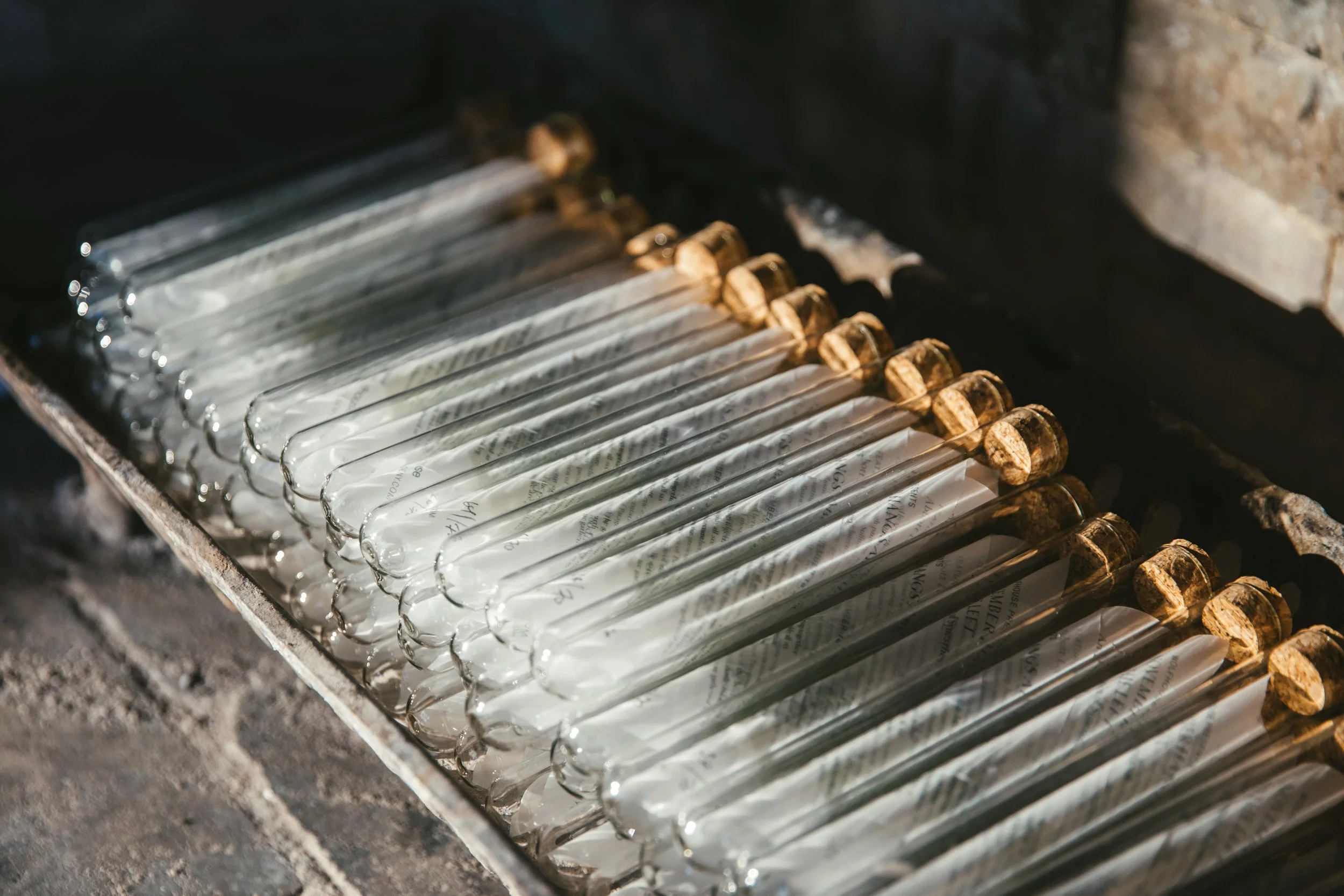 Wolfhouse_20231119_0344 (2).jpg