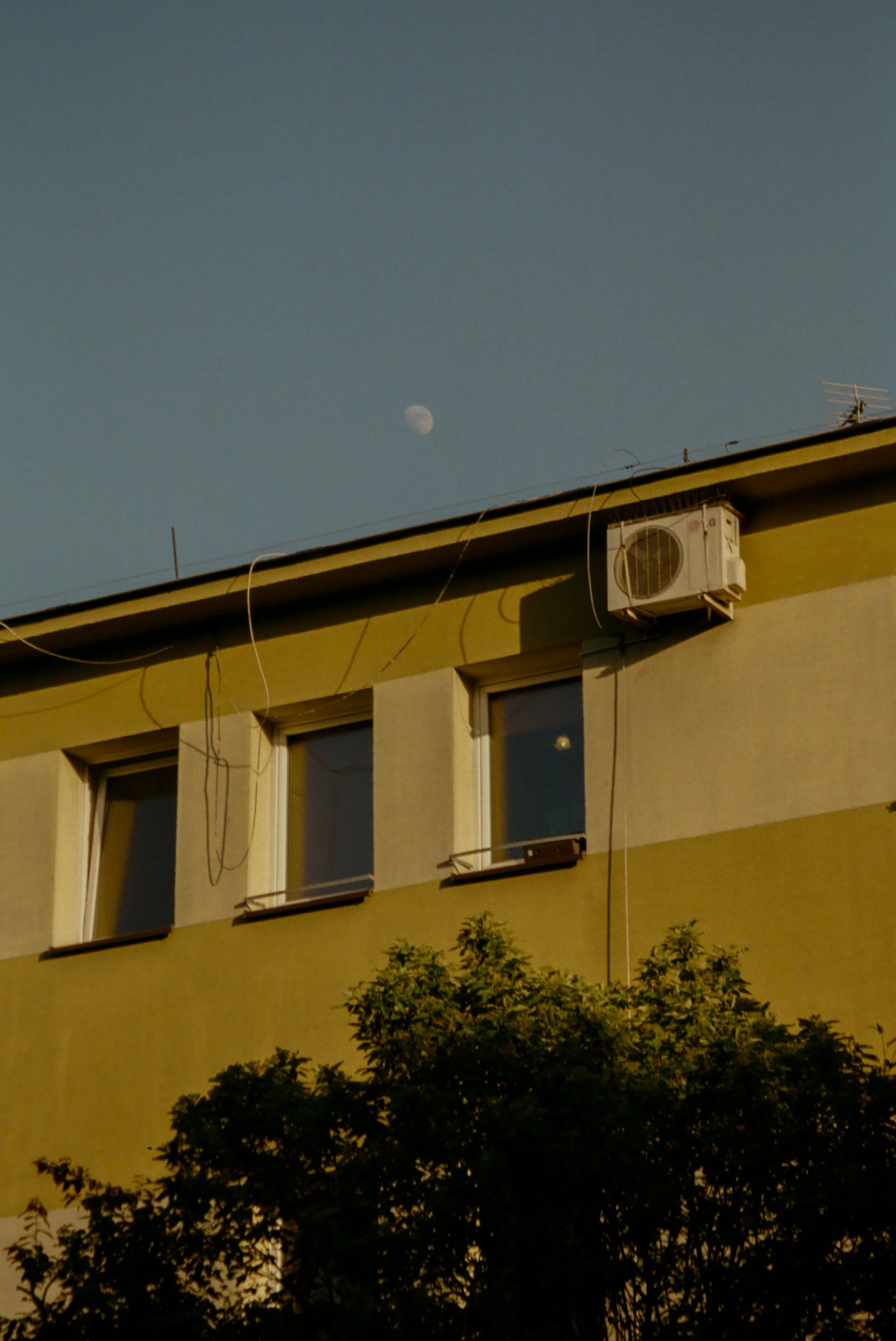 000592020005.jpg