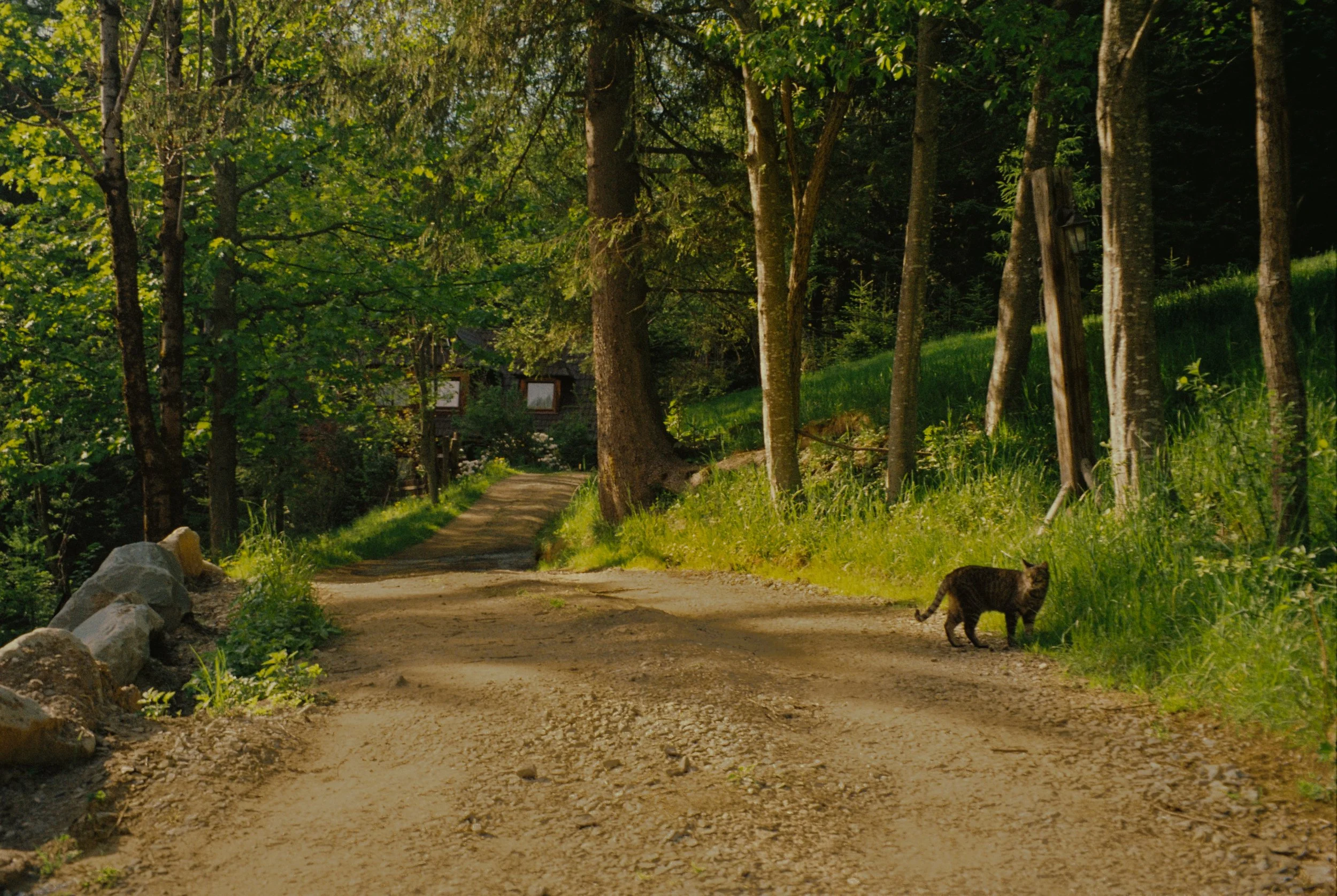 Poland-@shotsbyalliej-30053.jpg