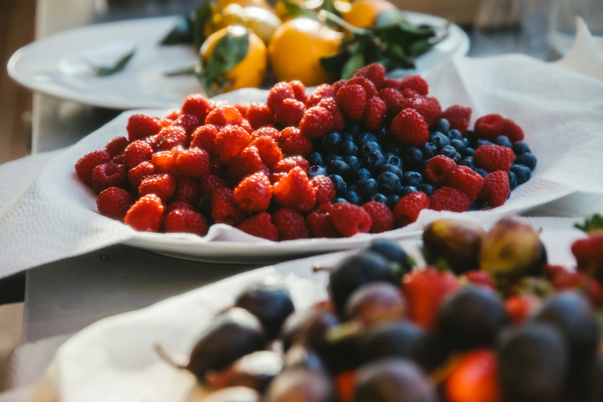 Wolfhouse_20231119_0113 (3).jpg