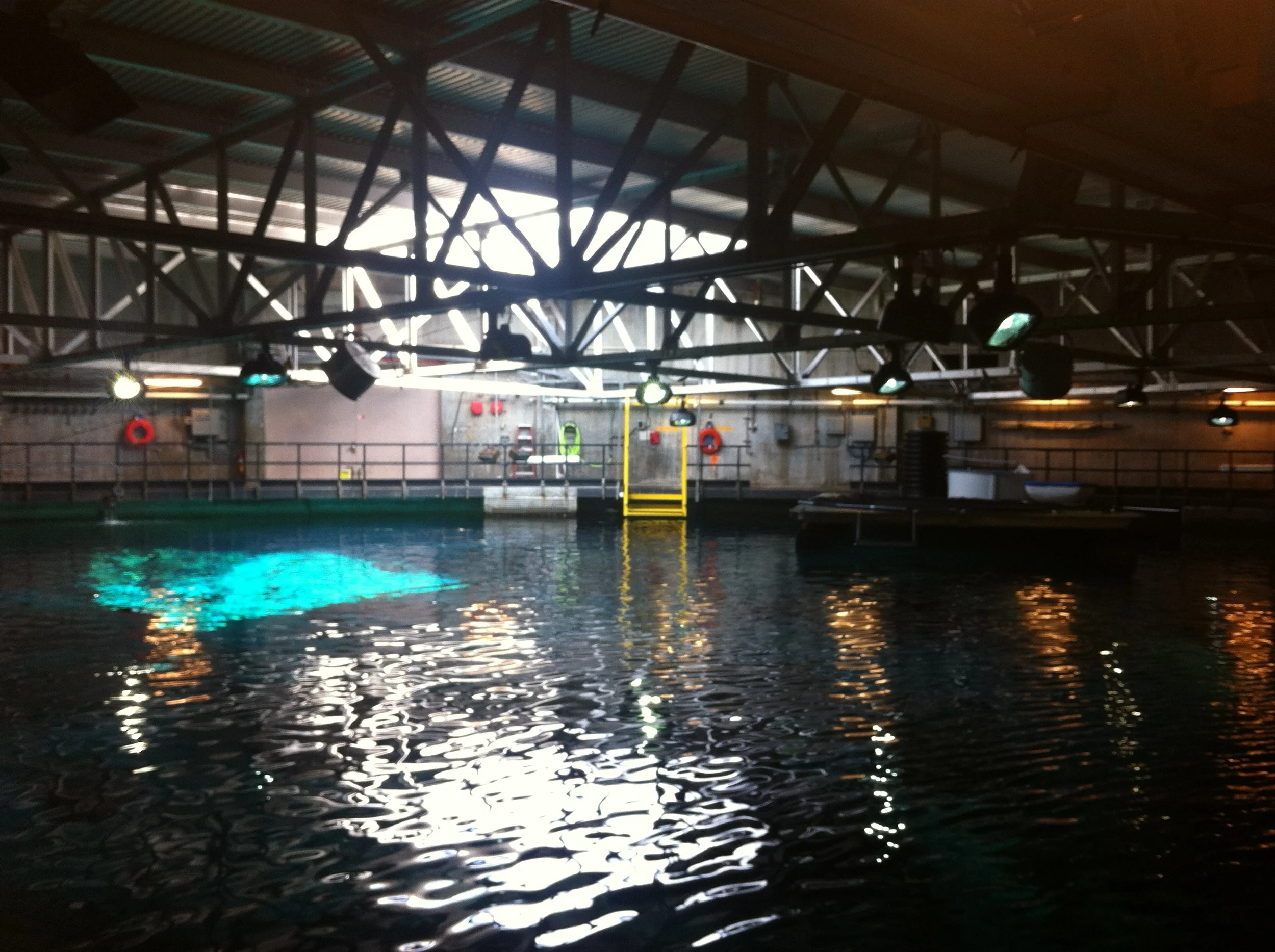 Underwater Tank Shoot at EPCOT
