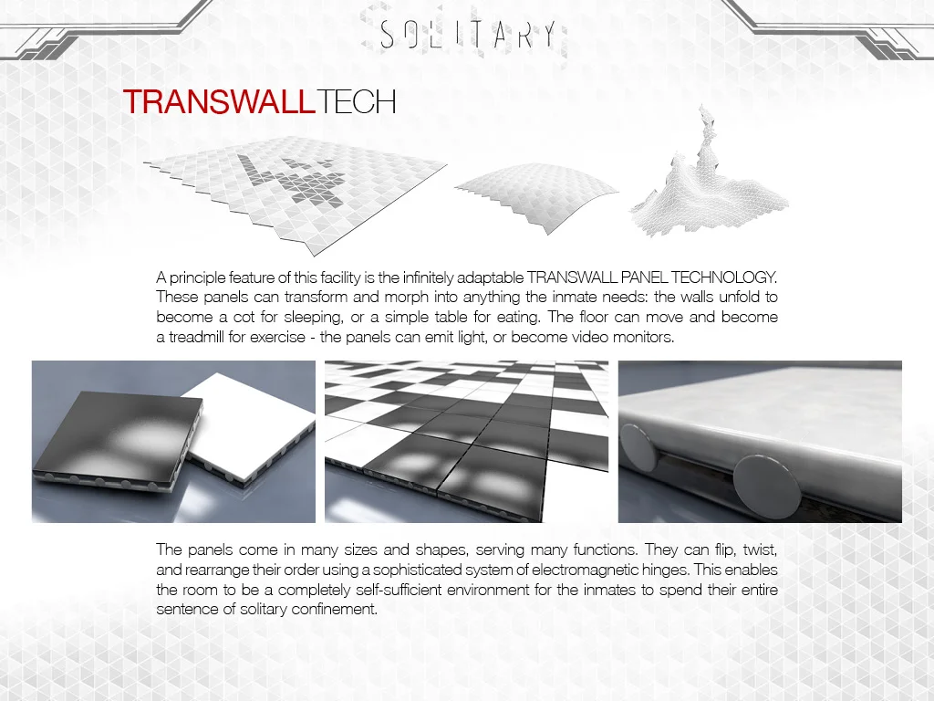 solitary_web_8.jpg