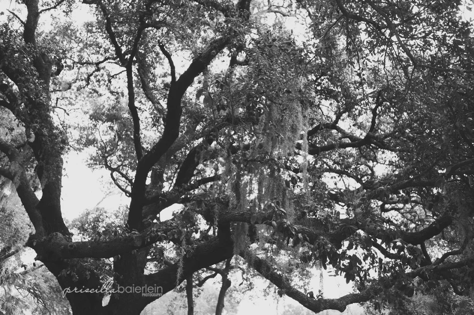 IMG_0672bw