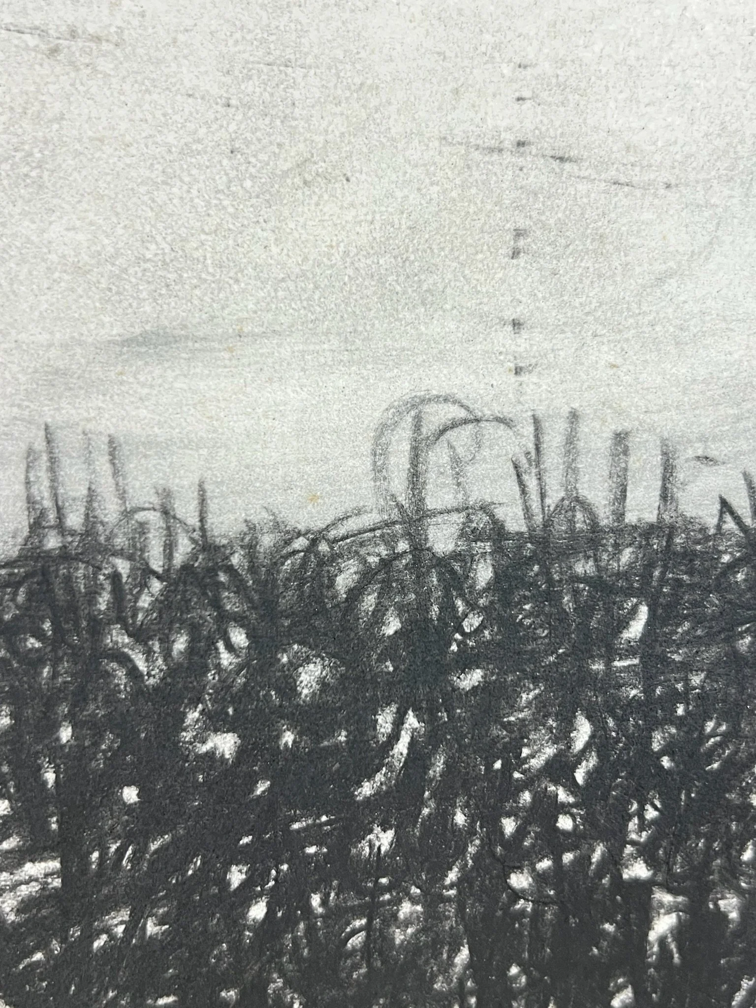 Untitled, landscape (detail)