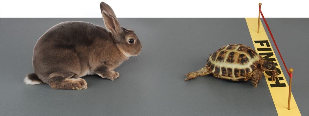 In the fable, the tortoise wins the race by slow, steady movement. In real life, slow-walking a crisis response is doomed to lose the race of telling your story.
