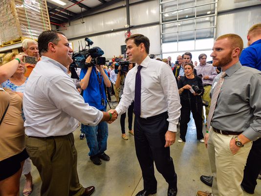 Marco Rubio is banking on suburban voters to give him the political momentum to derail Donald Trump en route to the 2016 Republican presidential nomination.