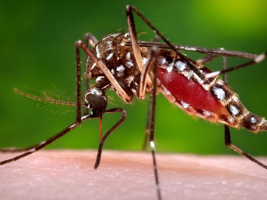 After a newborn child died from a Zika-related illness in Texas, Democratic presidential nominee Hillary Clinton joined the chorus of critics bashing Congress for not yet providing money to fight the disease. 
