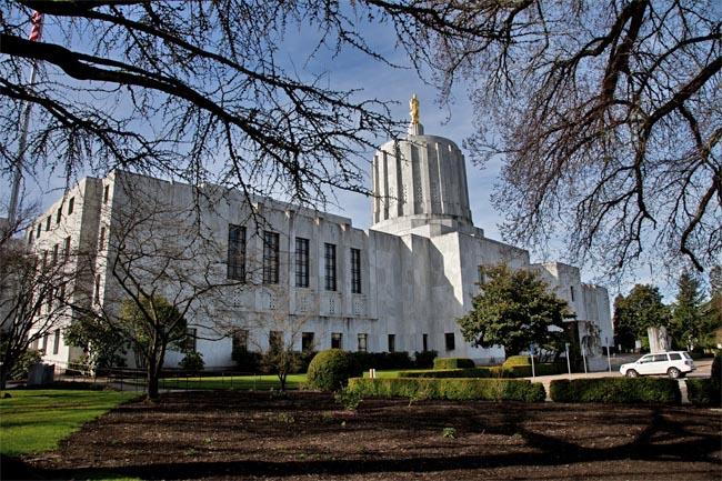 Good lobbyists do a lot more than schmoozing and handing out campaign cash. Their work to pass or kill bills is strenuous, stressful and sometimes monotonous, and it can span multiple legislative sessions.