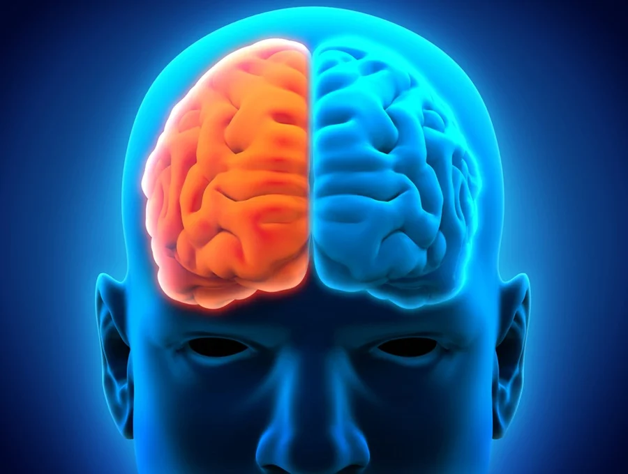Public affairs professionals who seek to inform, persuade and defend their clients’ interests would be wise to think like a lawyer and write like a journalist, activating both the right and left sides of their brains.