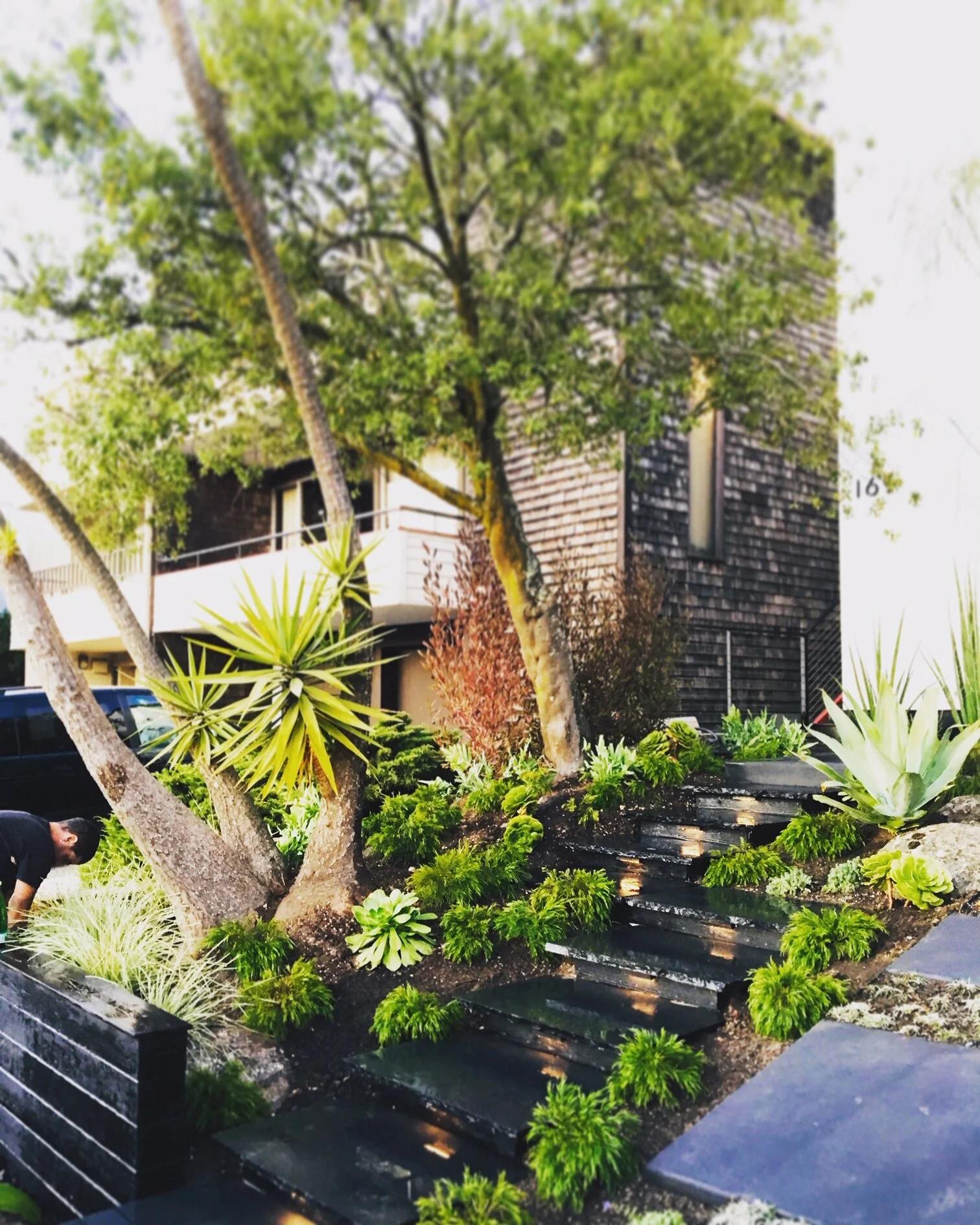 living elements landscape sacramento on Cobble Forge