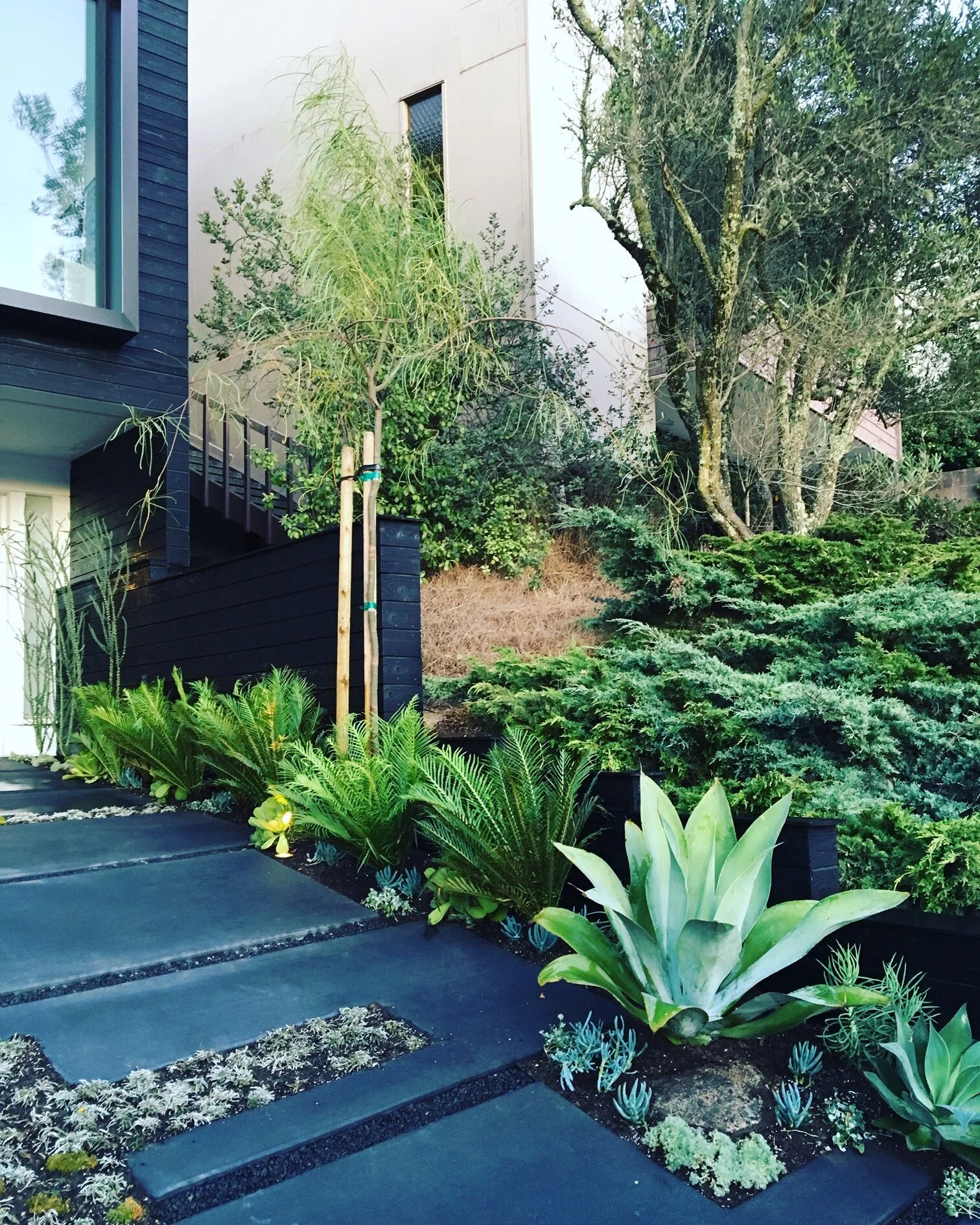 living elements landscape sacramento on Cobble Forge