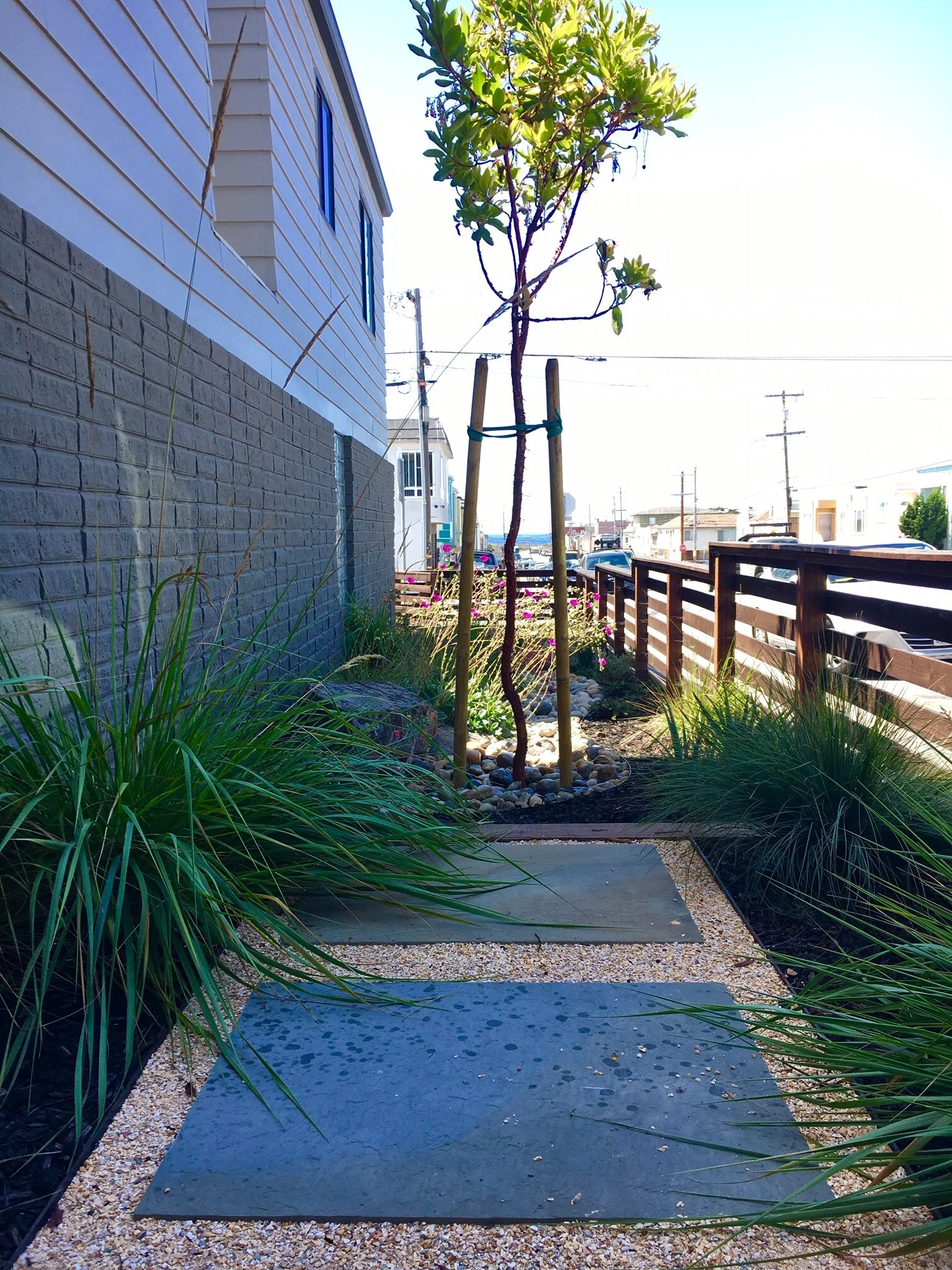 living elements landscape sacramento on Cobble Forge