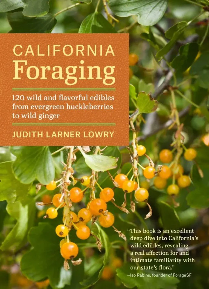 California Foraging.jpg
