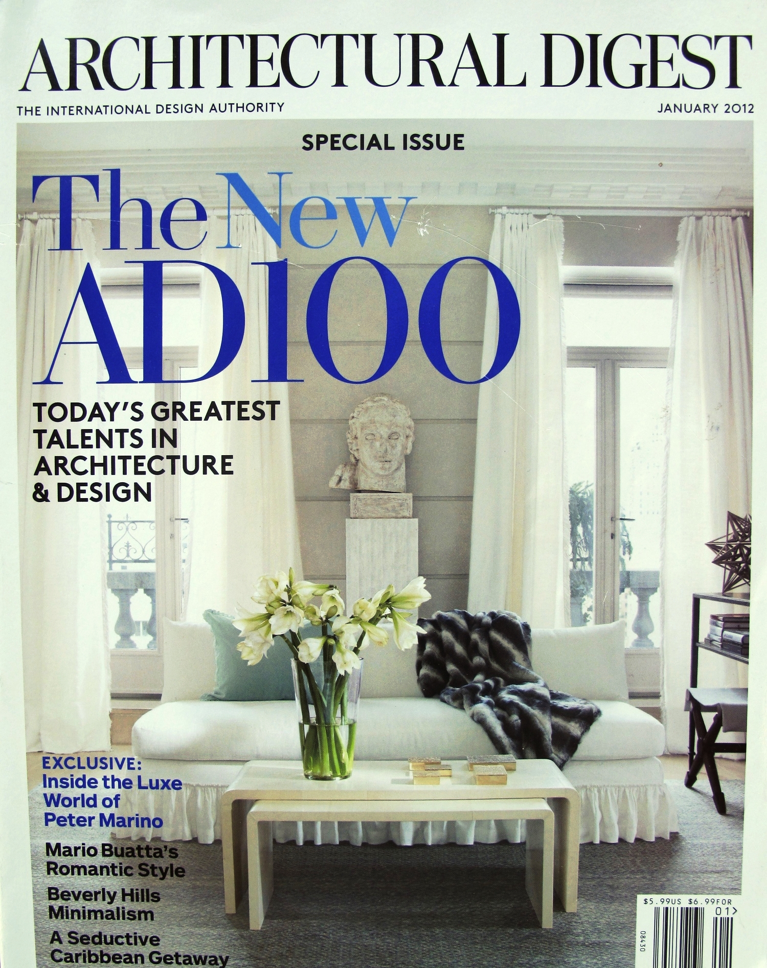 AD100 cover.JPG