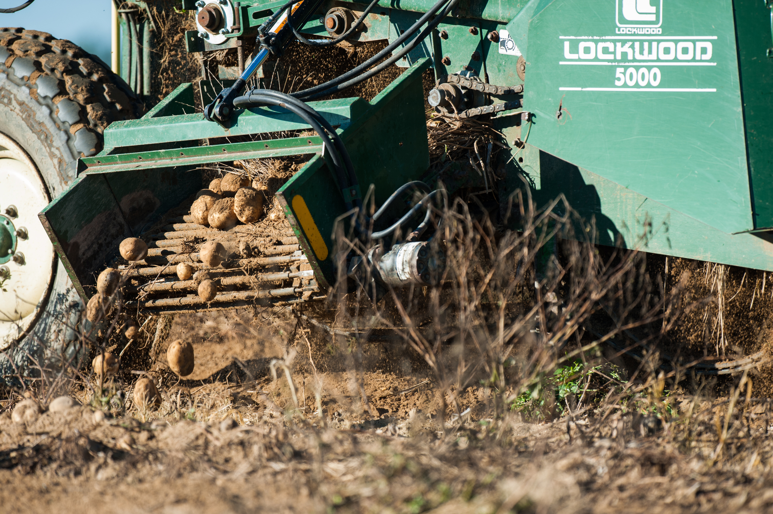DustyLanesFarm_JeffAndersonPhotography-3717.JPG