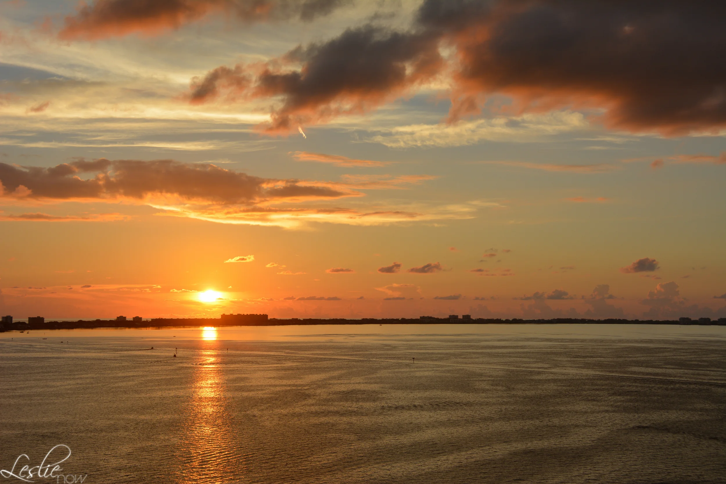 Orange Sunset Sarasota - Leslie Brown