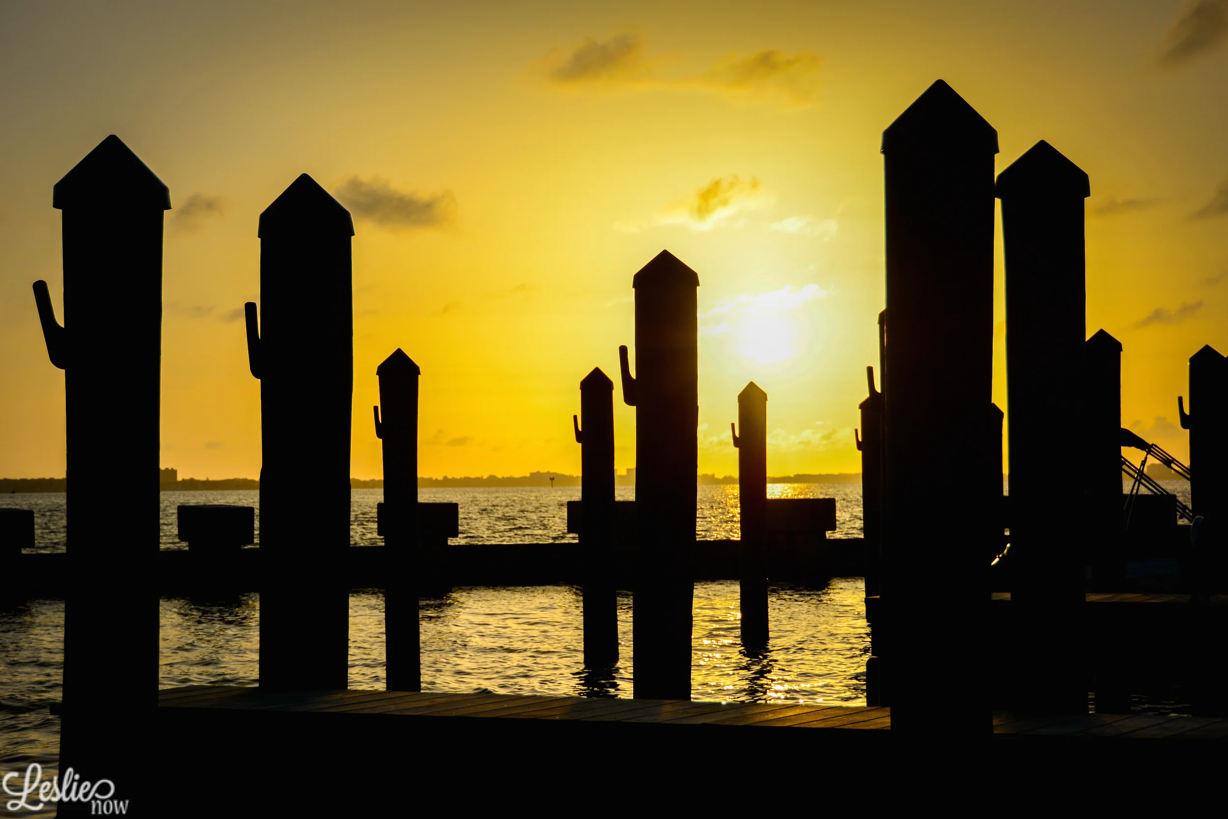 Golden Dock Sunset - Leslie Brown