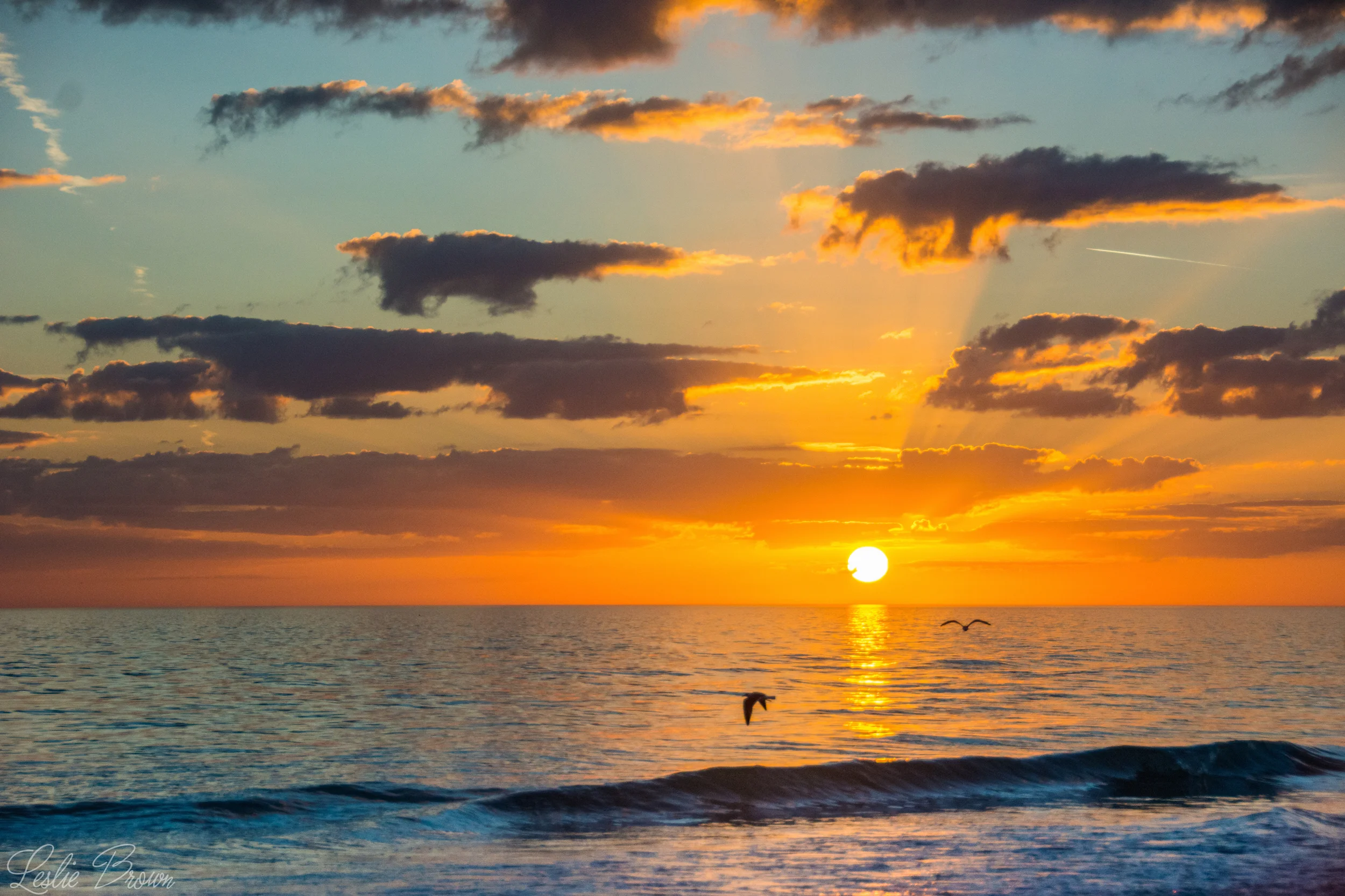 Sarasota-3.jpg