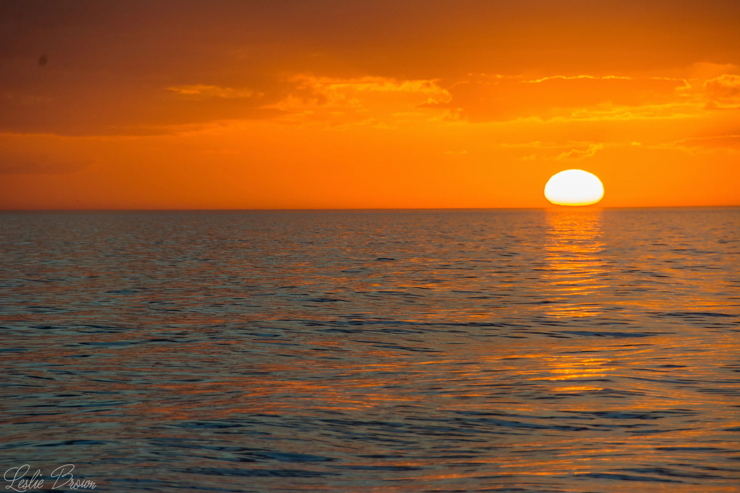 Sarasota-4.jpg