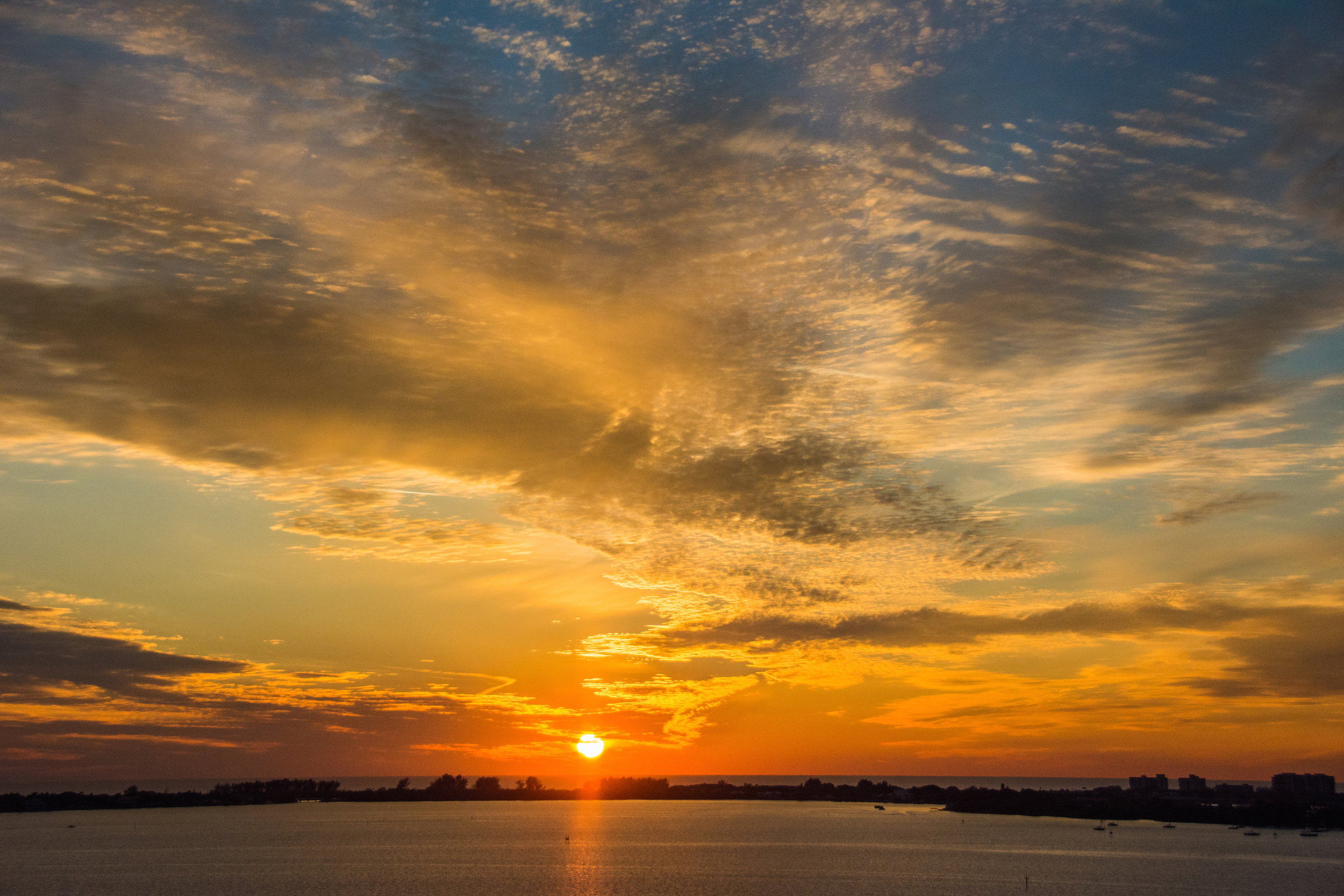 Gold Bronze Sunset - Leslie Brown