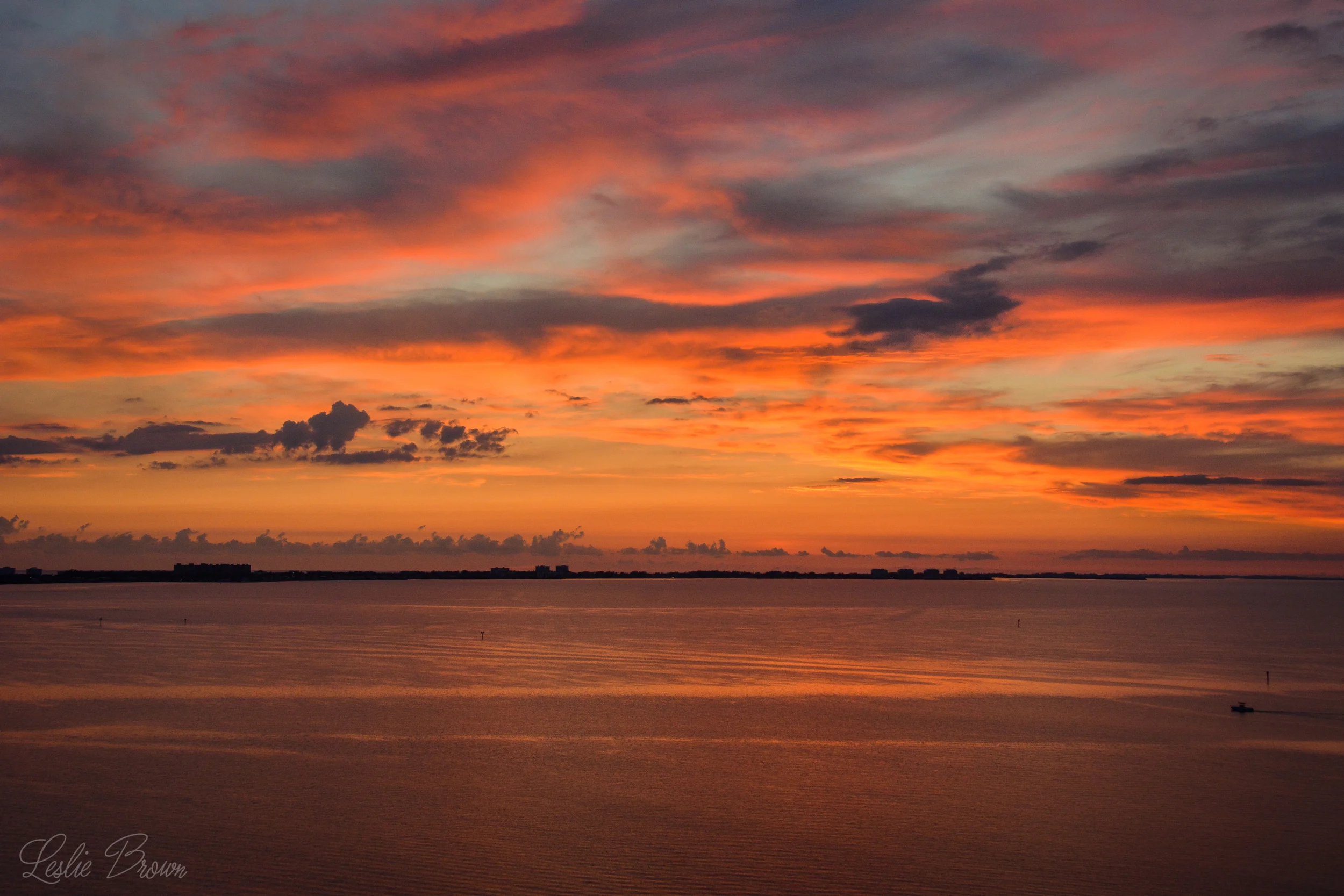 Fiery Horizon - Leslie Brown