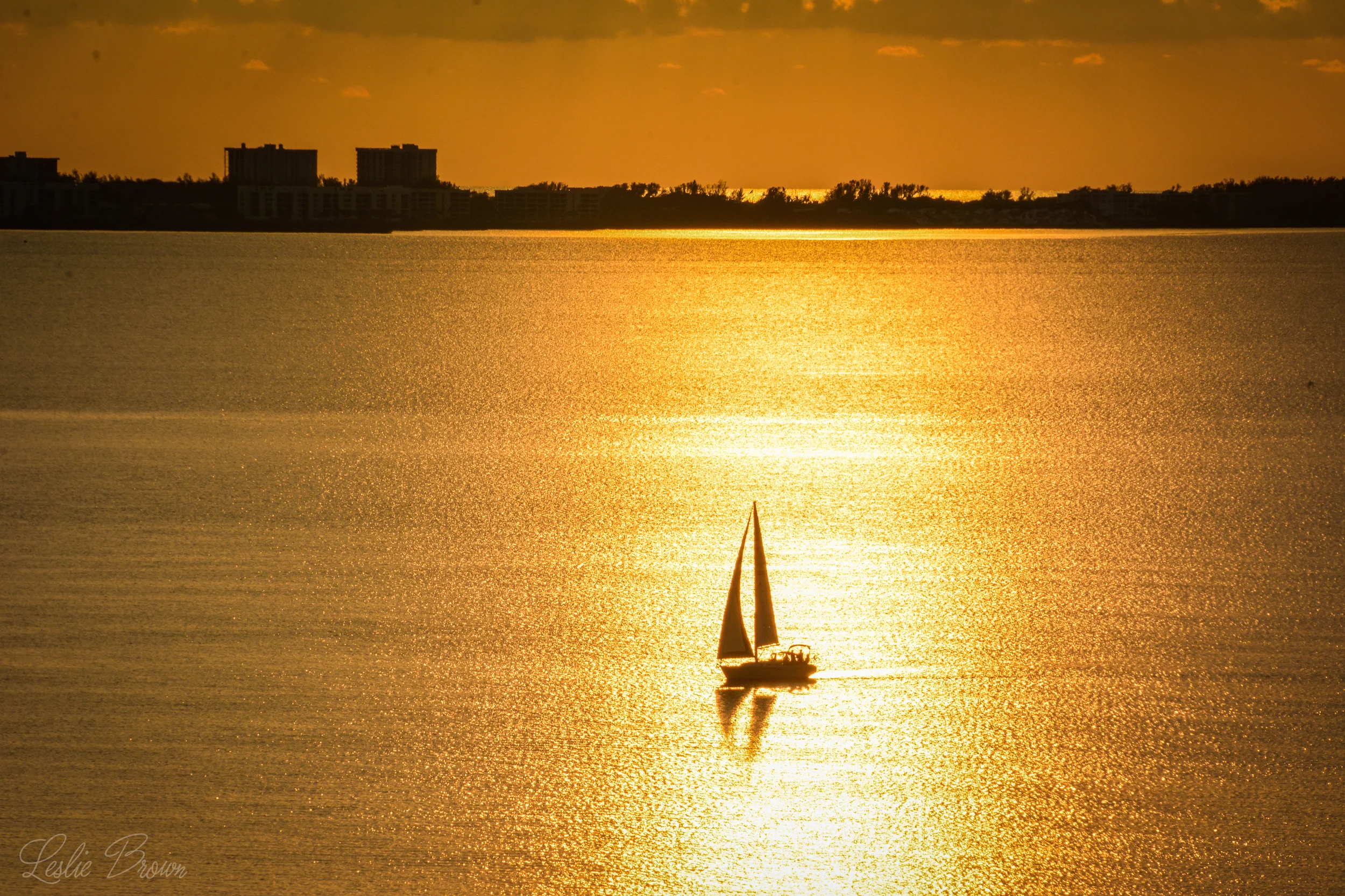 Stillness is Golden - Leslie Brown