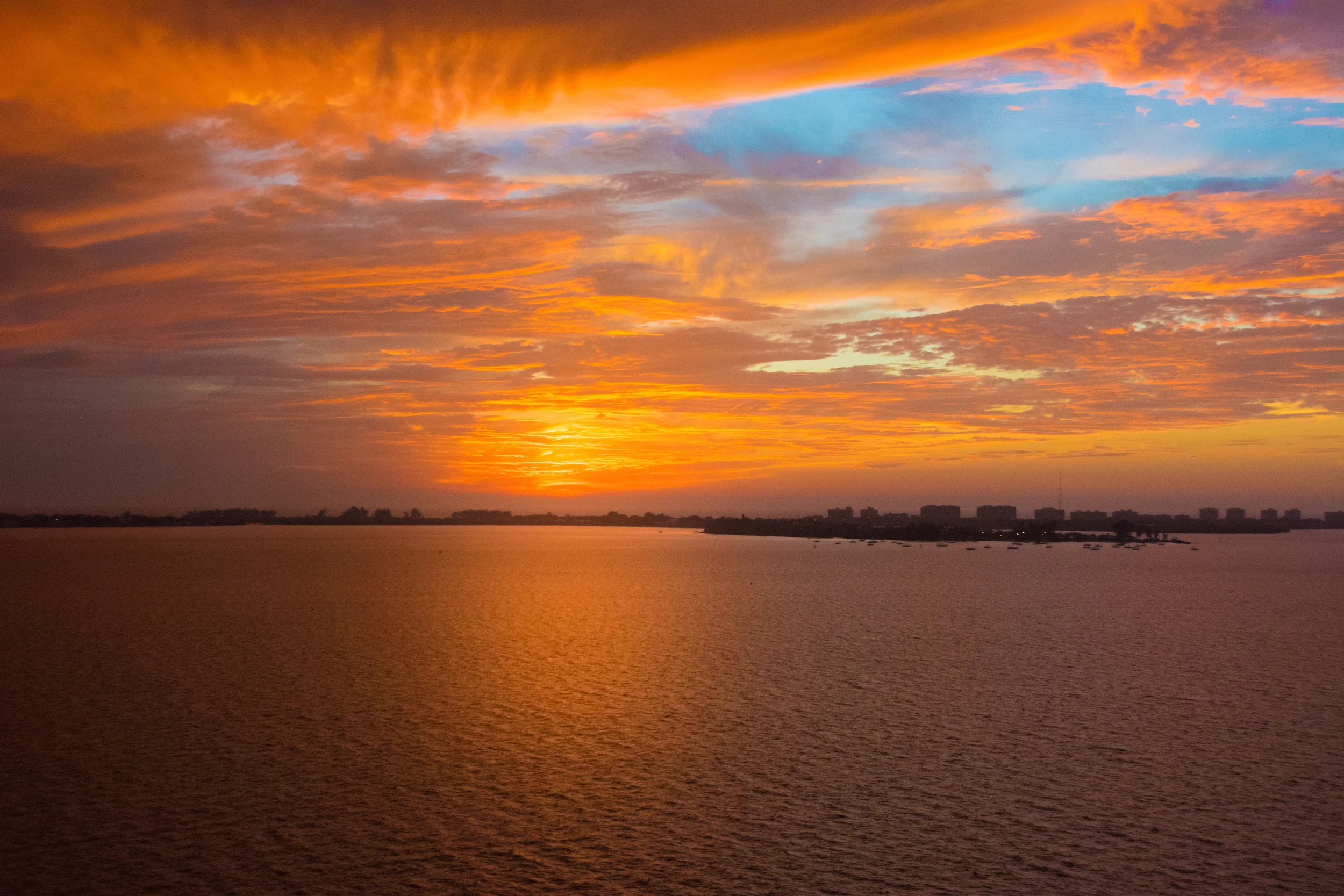 Orange Juice - Leslie Brown