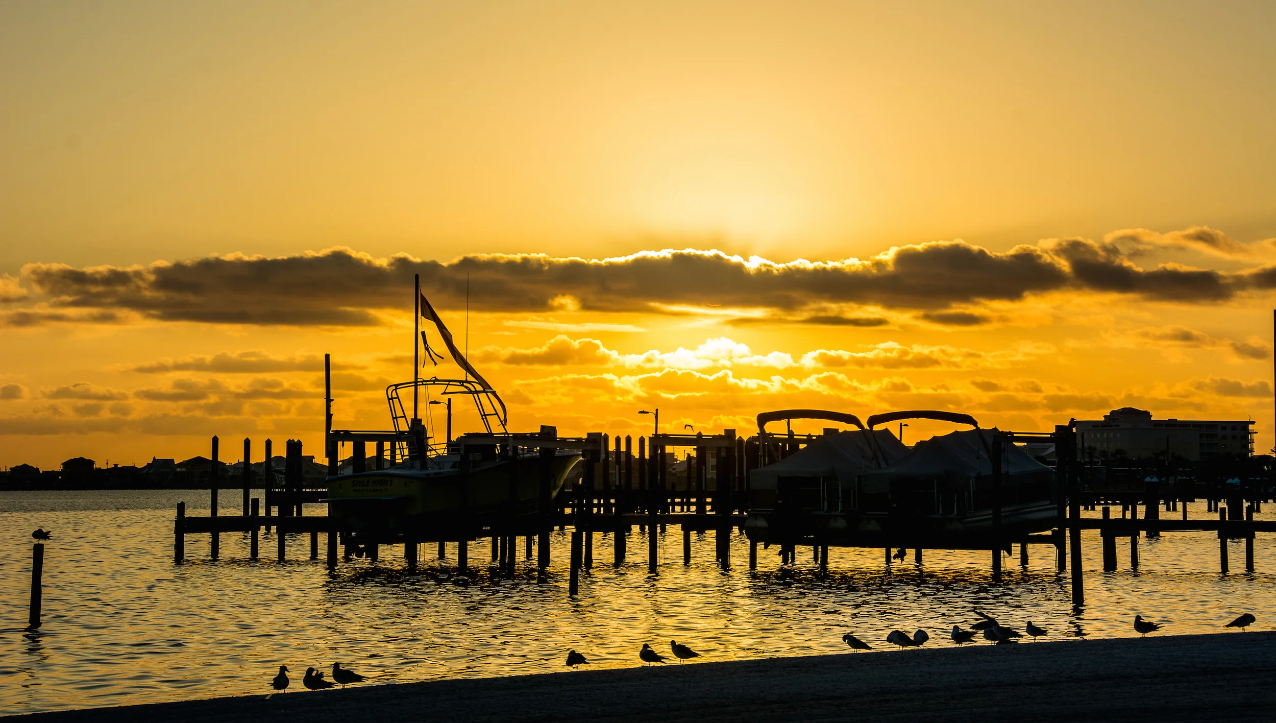 Golden Dock of the Bay - Leslie Brown