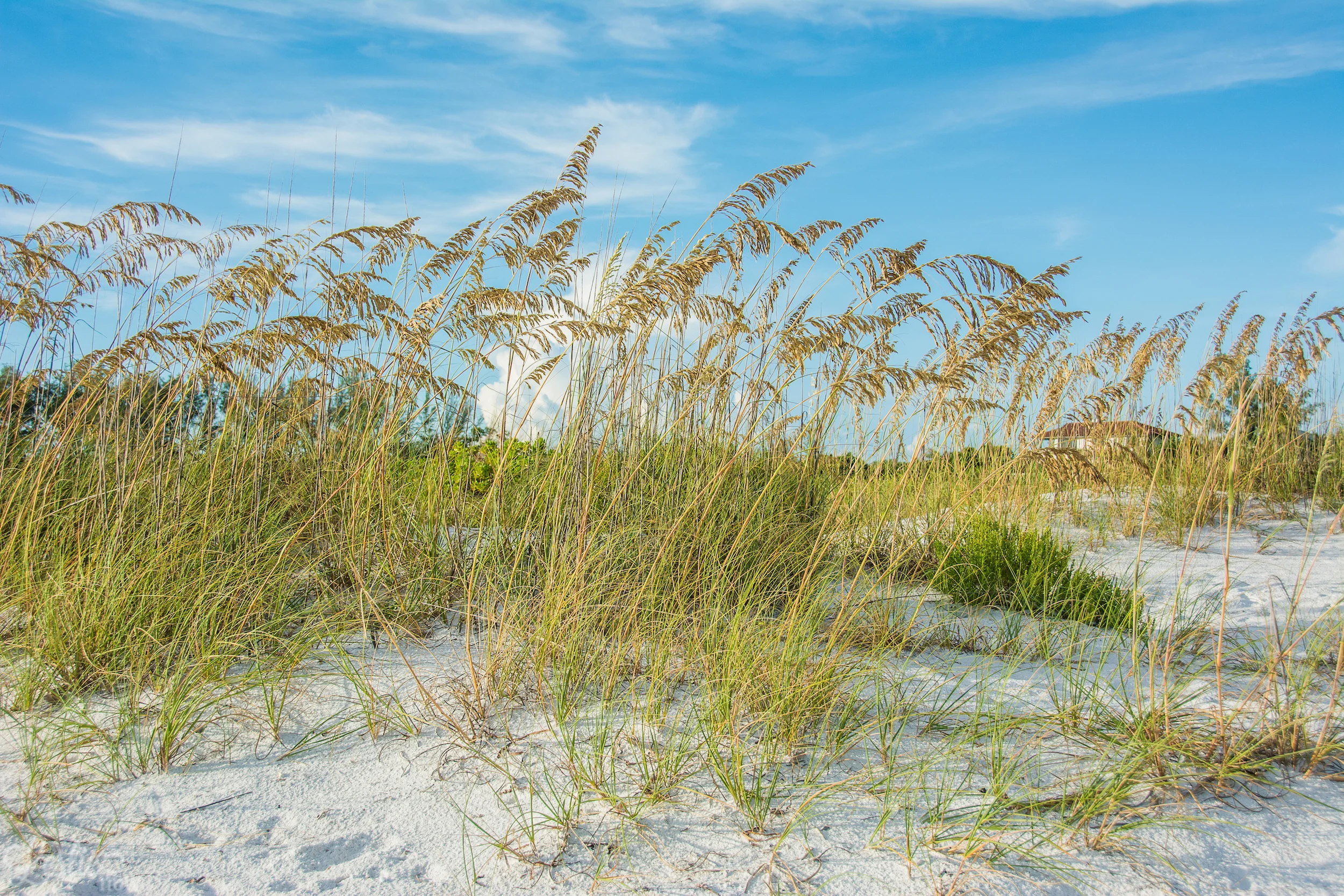 081714_Beach888-9586.jpg
