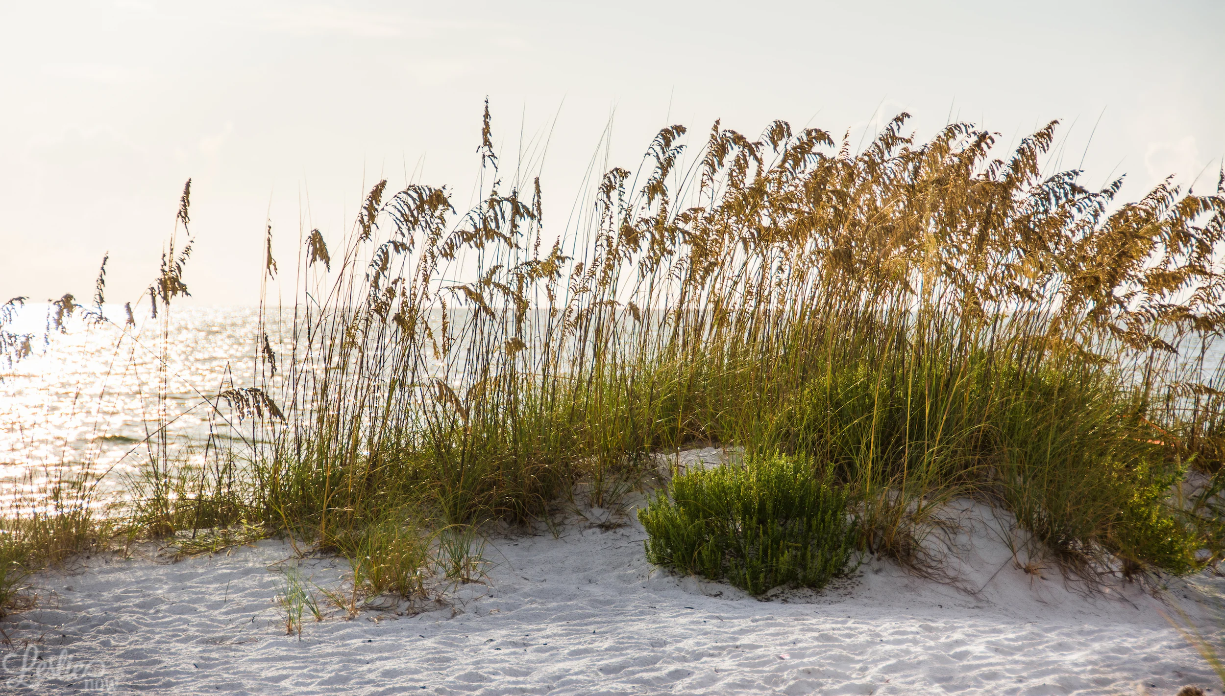 081714_Beach888-9577.jpg