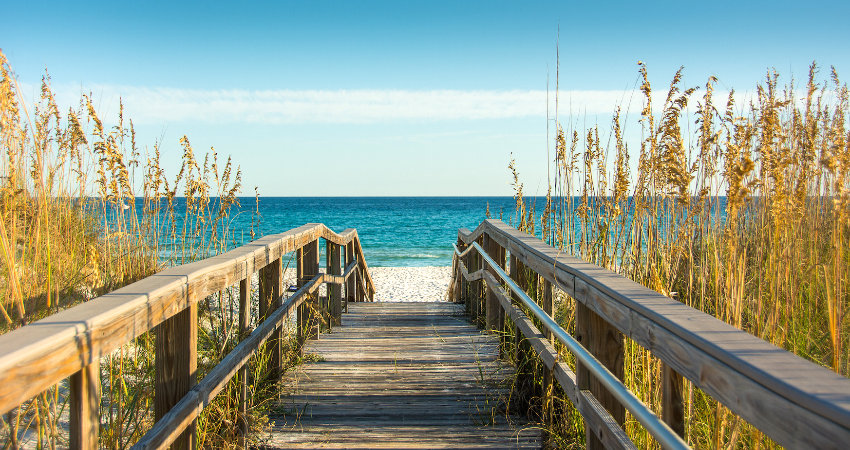 100514_BayBeachPcola-0710.jpg
