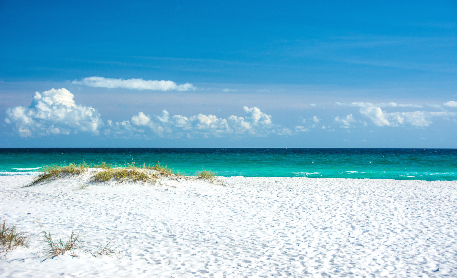 100814_Pcola-0728.jpg