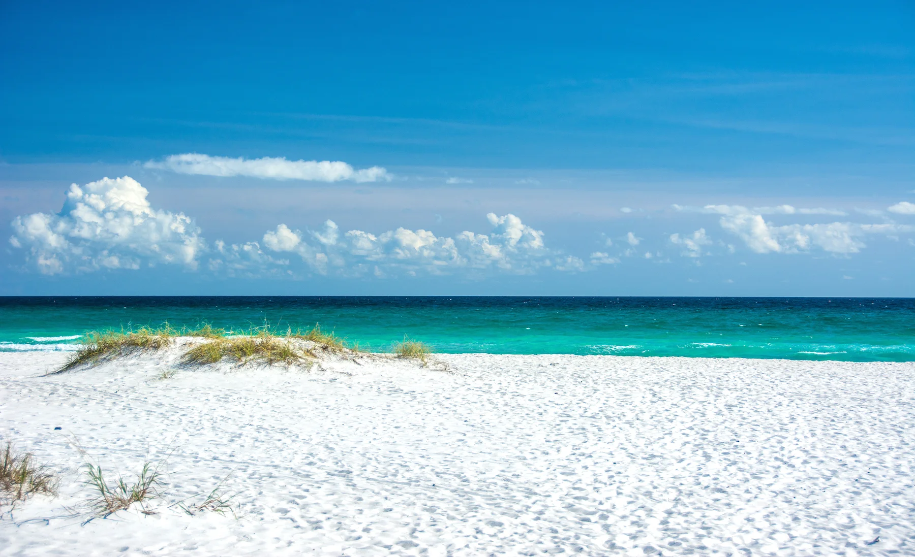 PcolaBeach.jpg