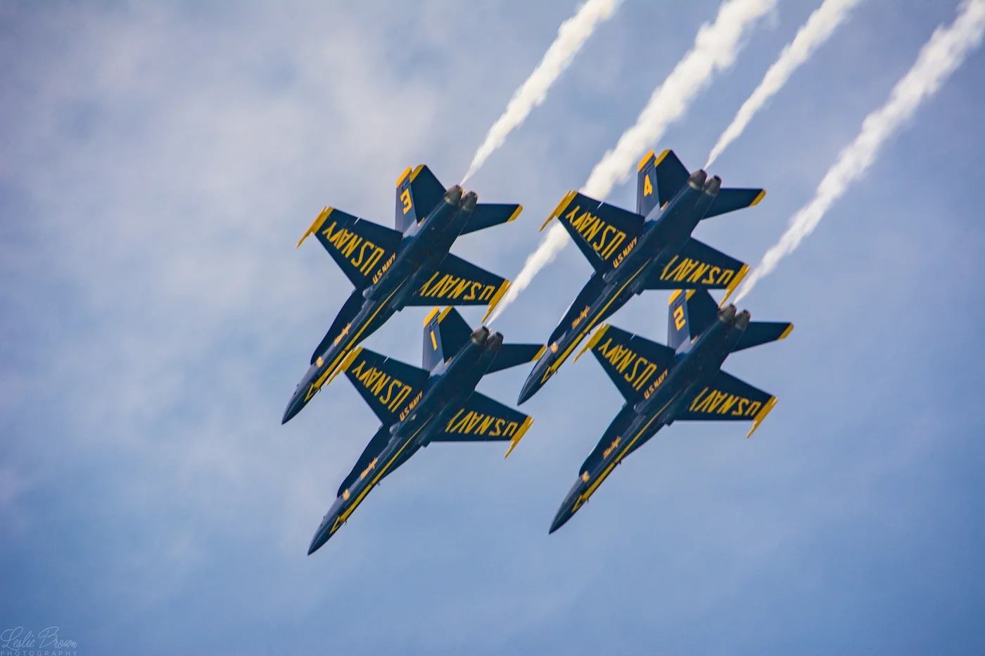 4BluesFormationD1-6370web.jpg