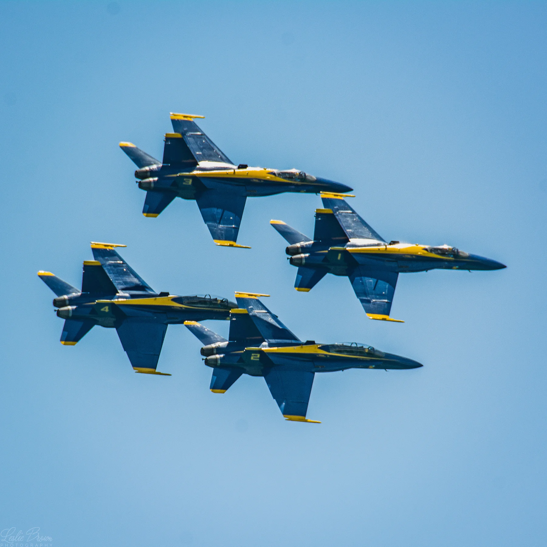 1BlueAngelsPcolaD2150711-6574web.jpg