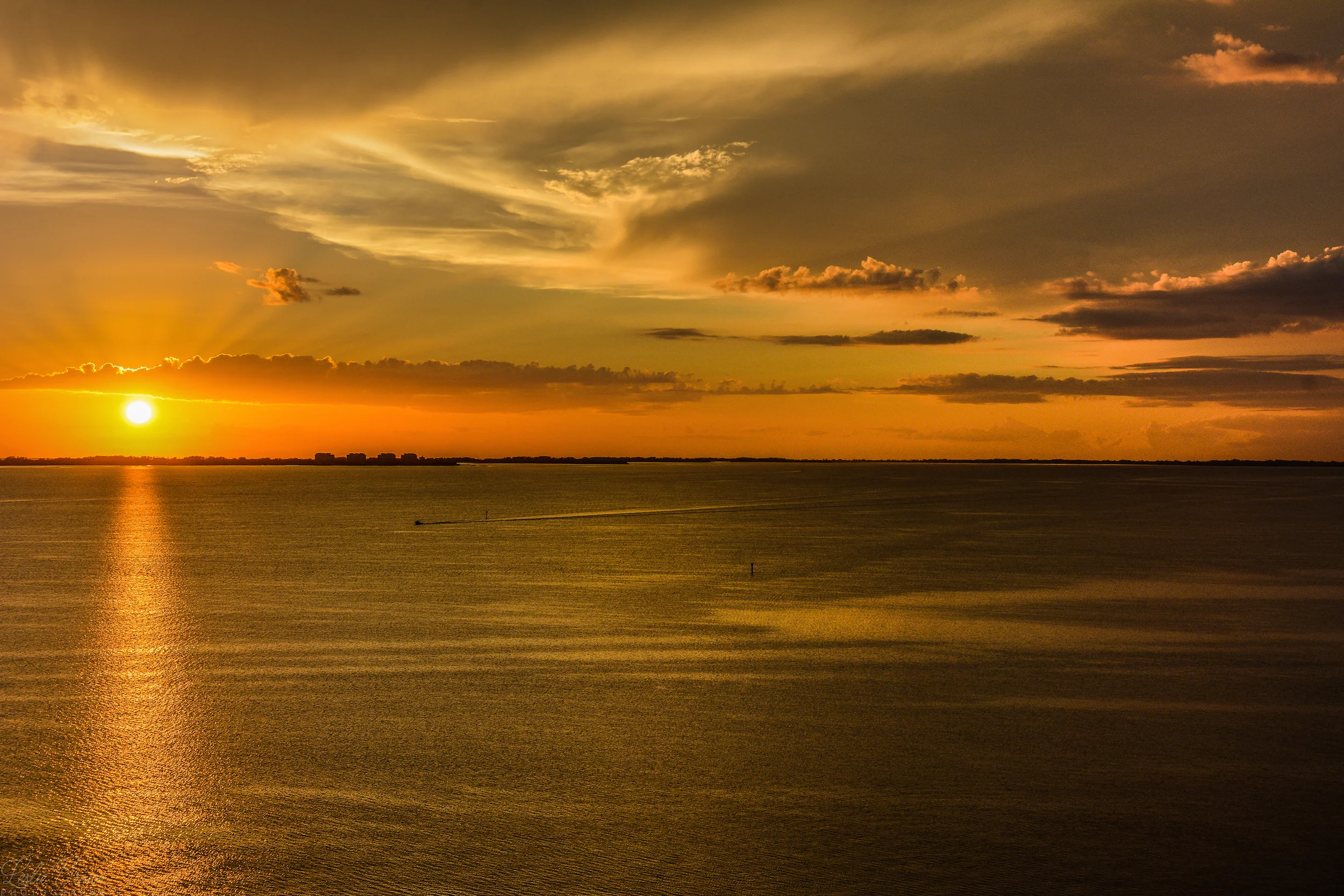 BoldSunsetsJune-5147_web.jpg