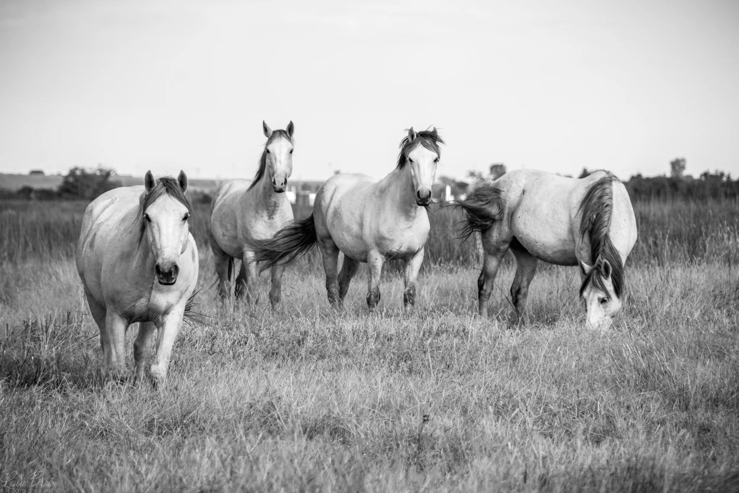 All Together Beauties