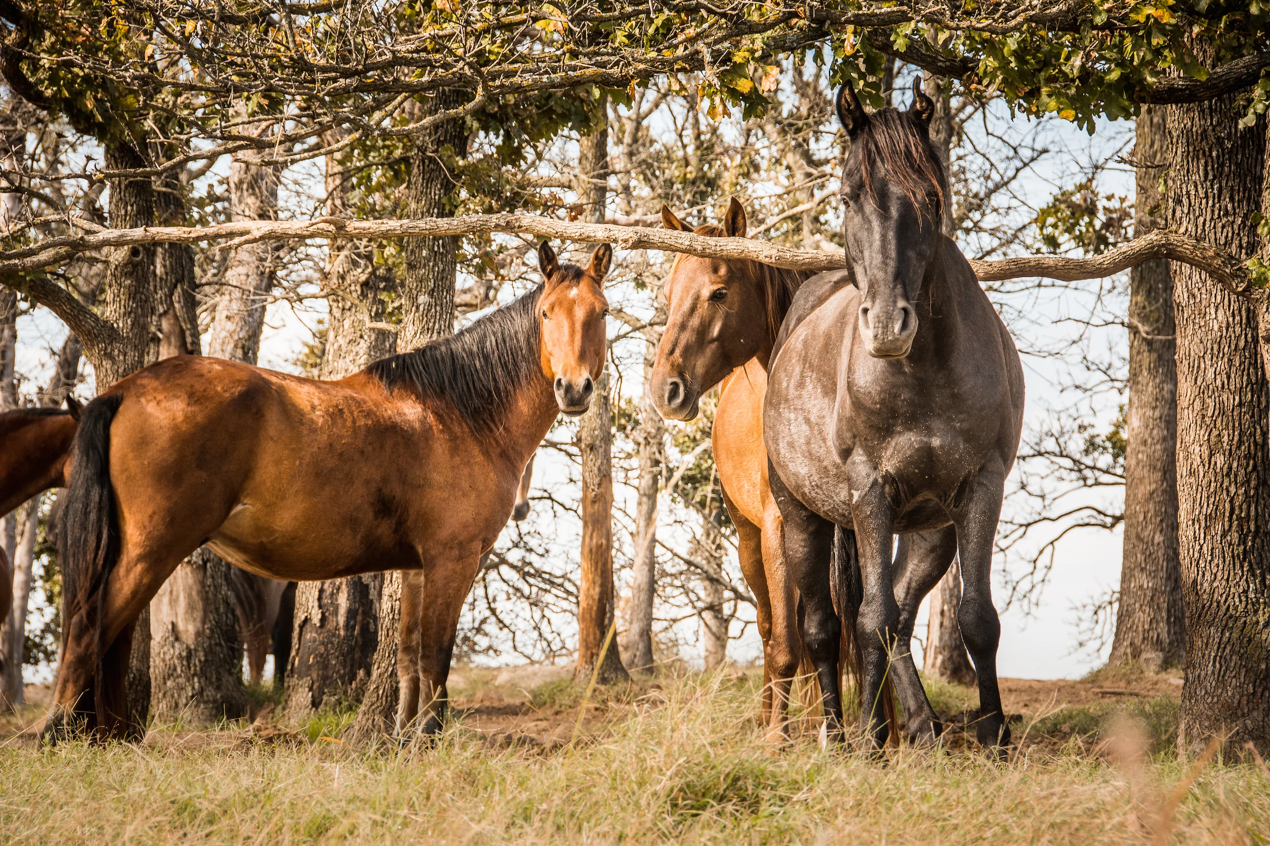 Watching You Watching Me