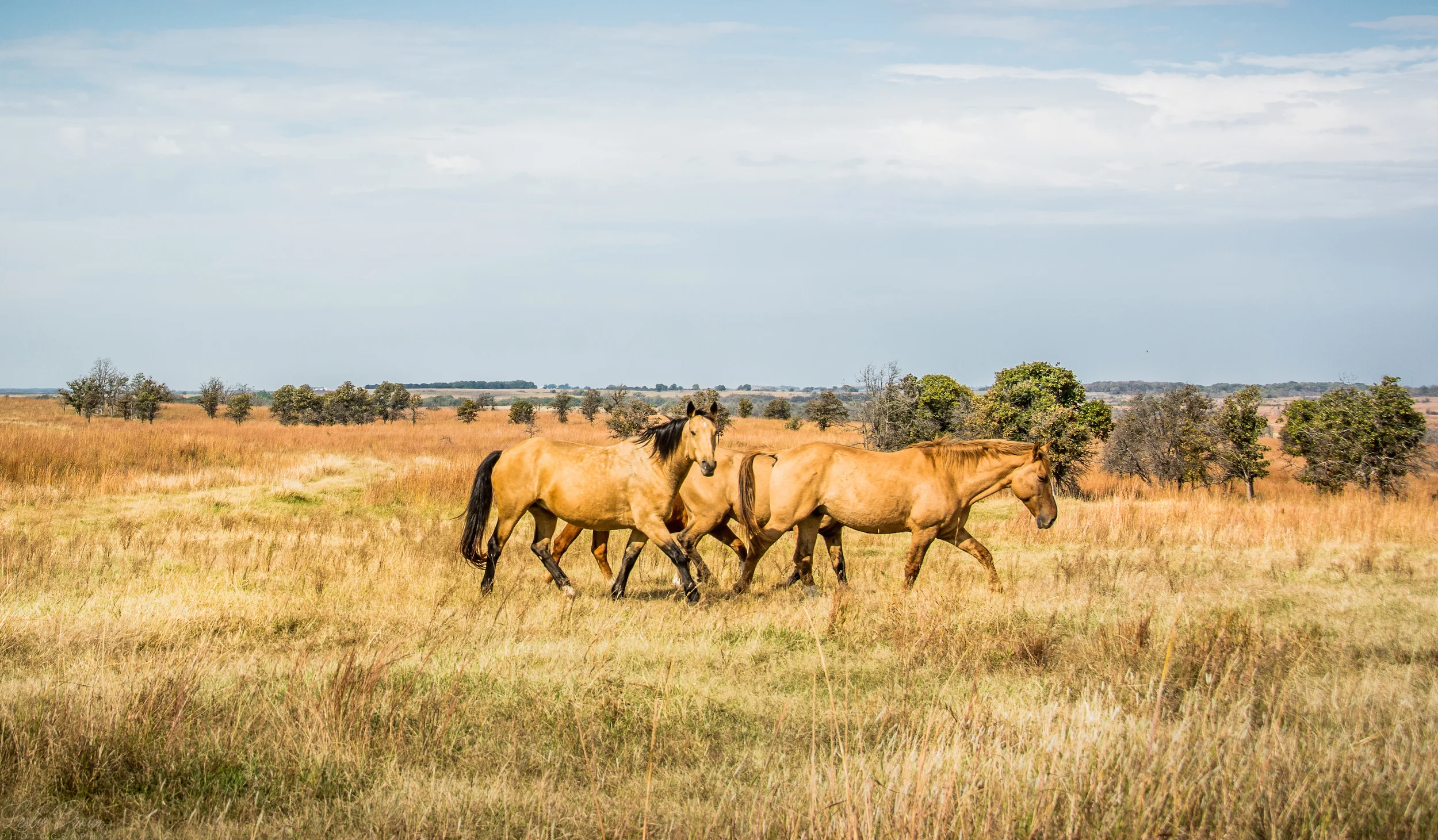 Caramel Latte for All