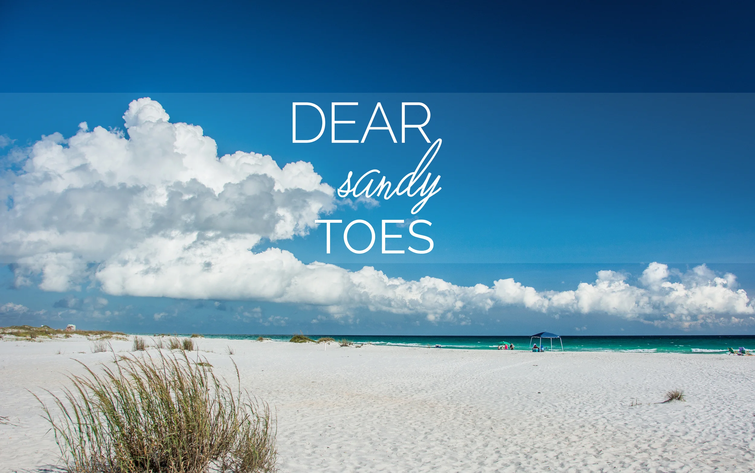 Dear Sandy Toes - Leslie Brown